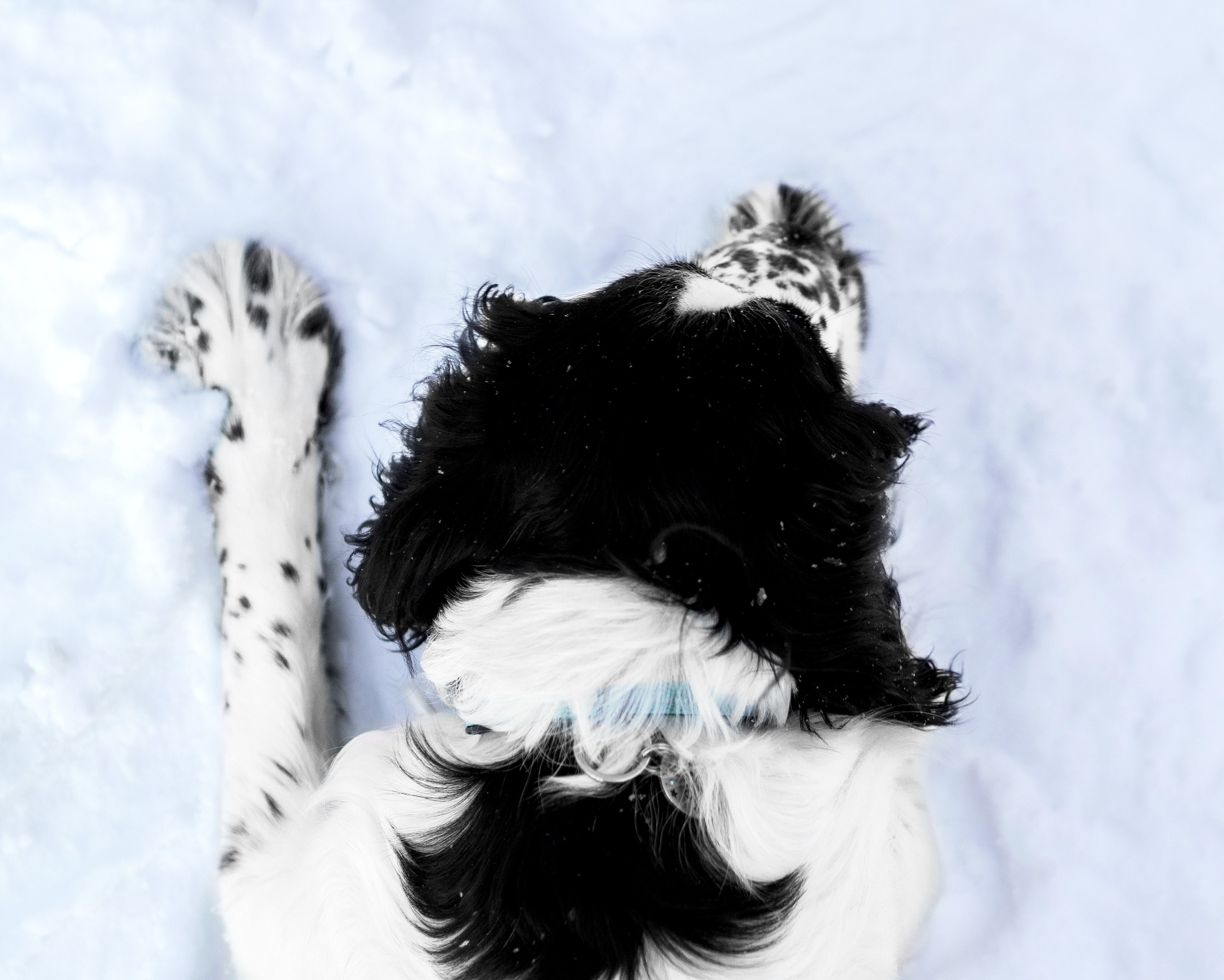 Саша и Стив