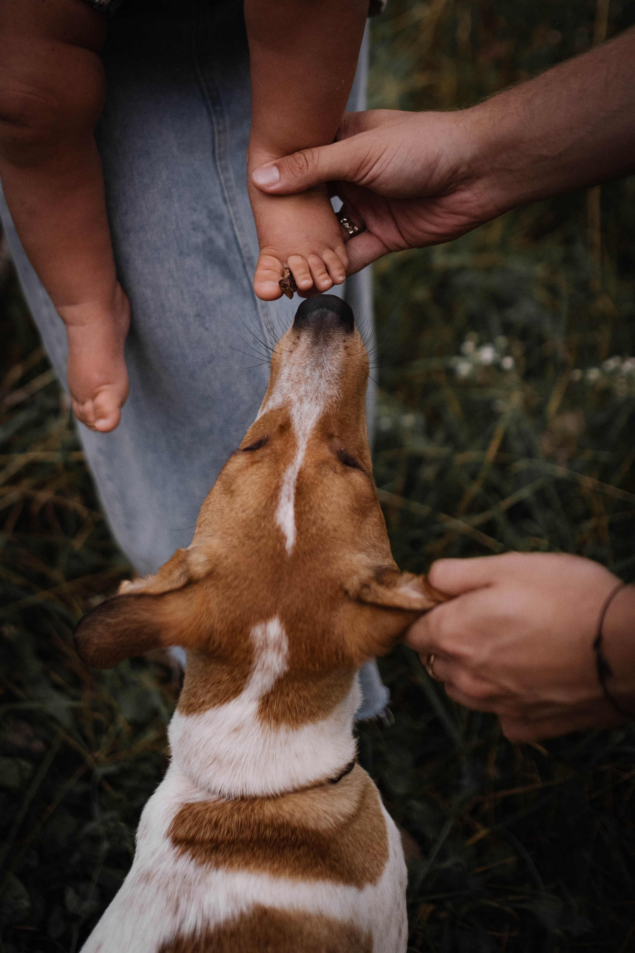 Семейная съемка в горах. Семейный фотограф в Санкт-Петербурге Дарья Косянчук