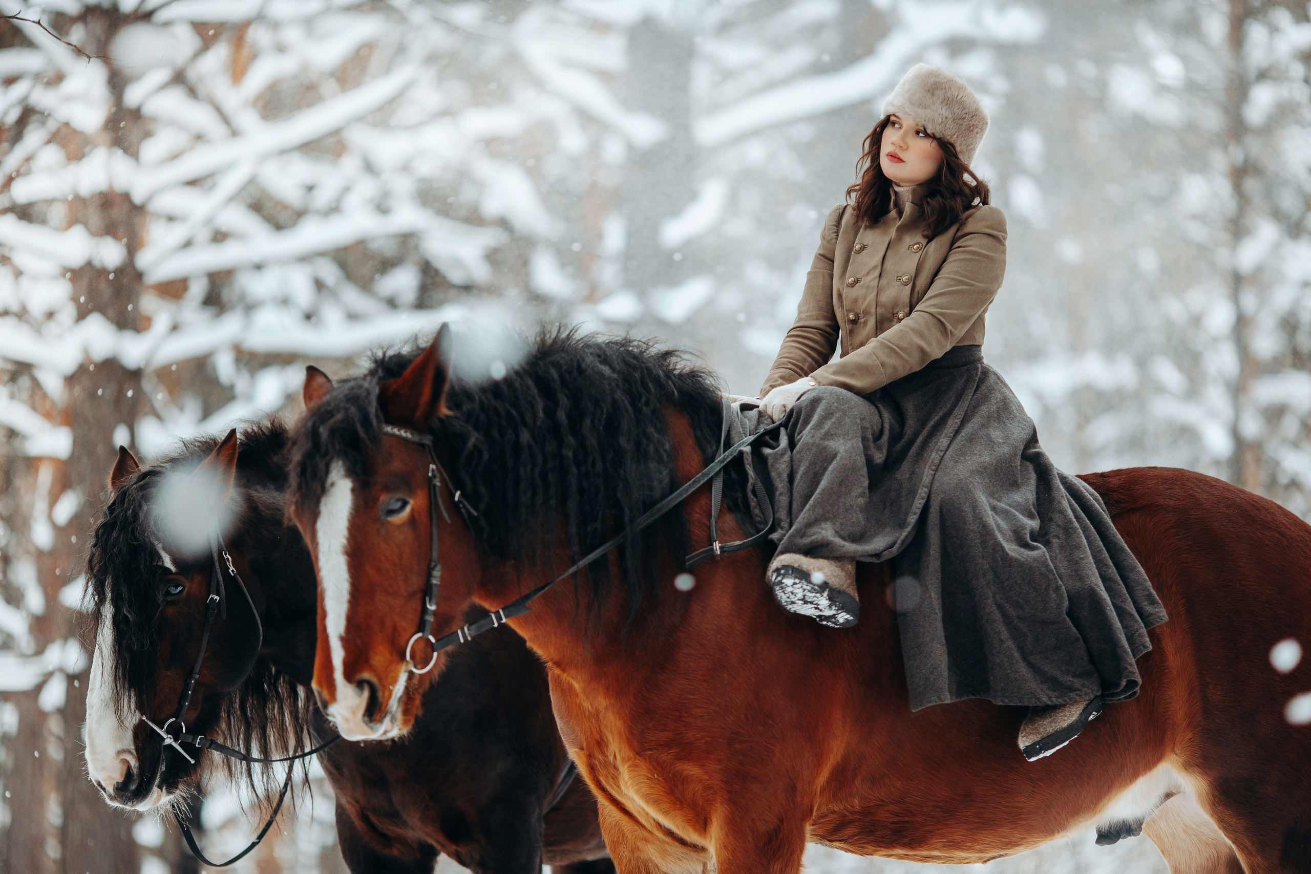 Анна Молчанова конный фотограф в Тюмени | фотосессии с лошадьми Тюмень