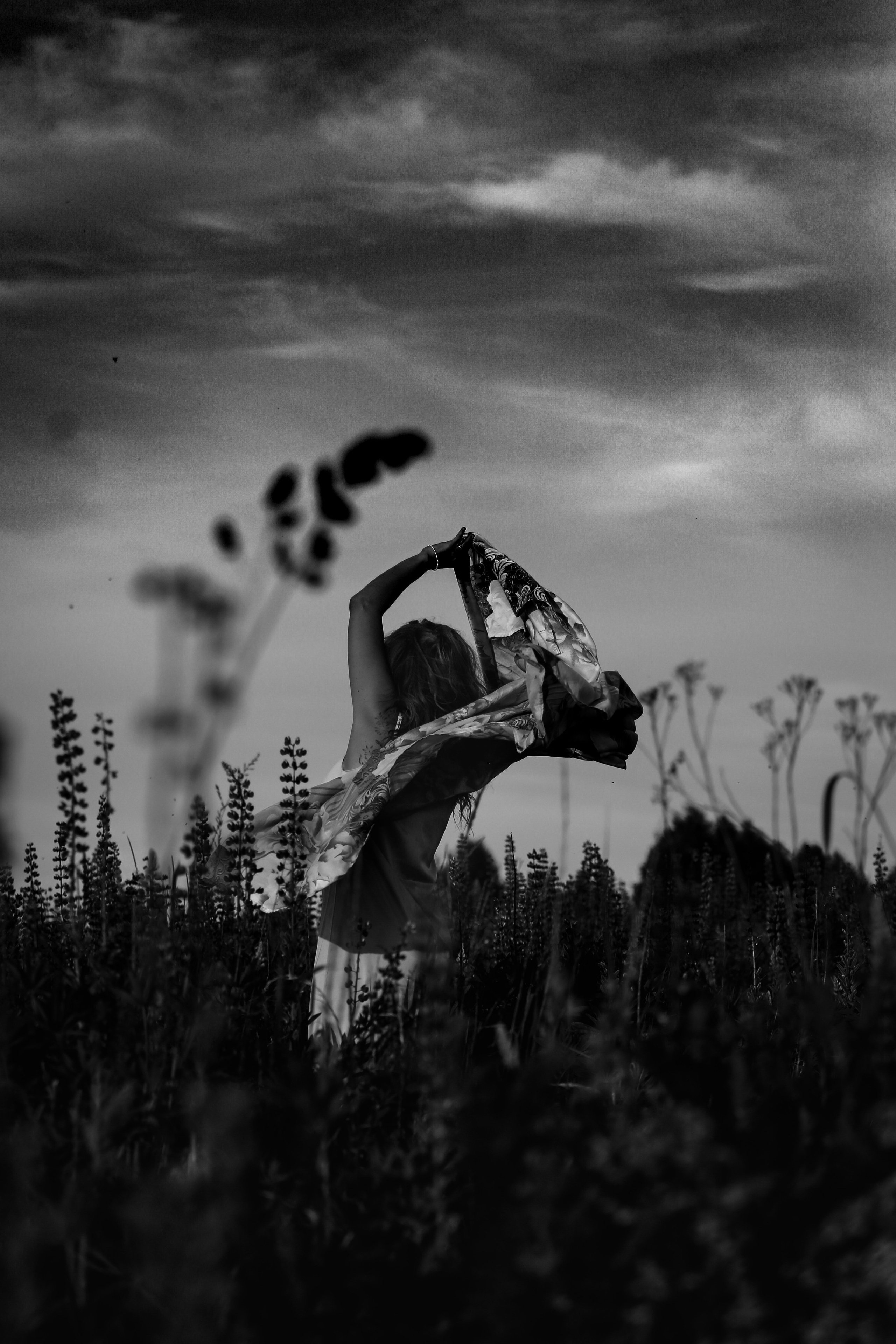 Среди люпинов. Efremovaphoto.ru