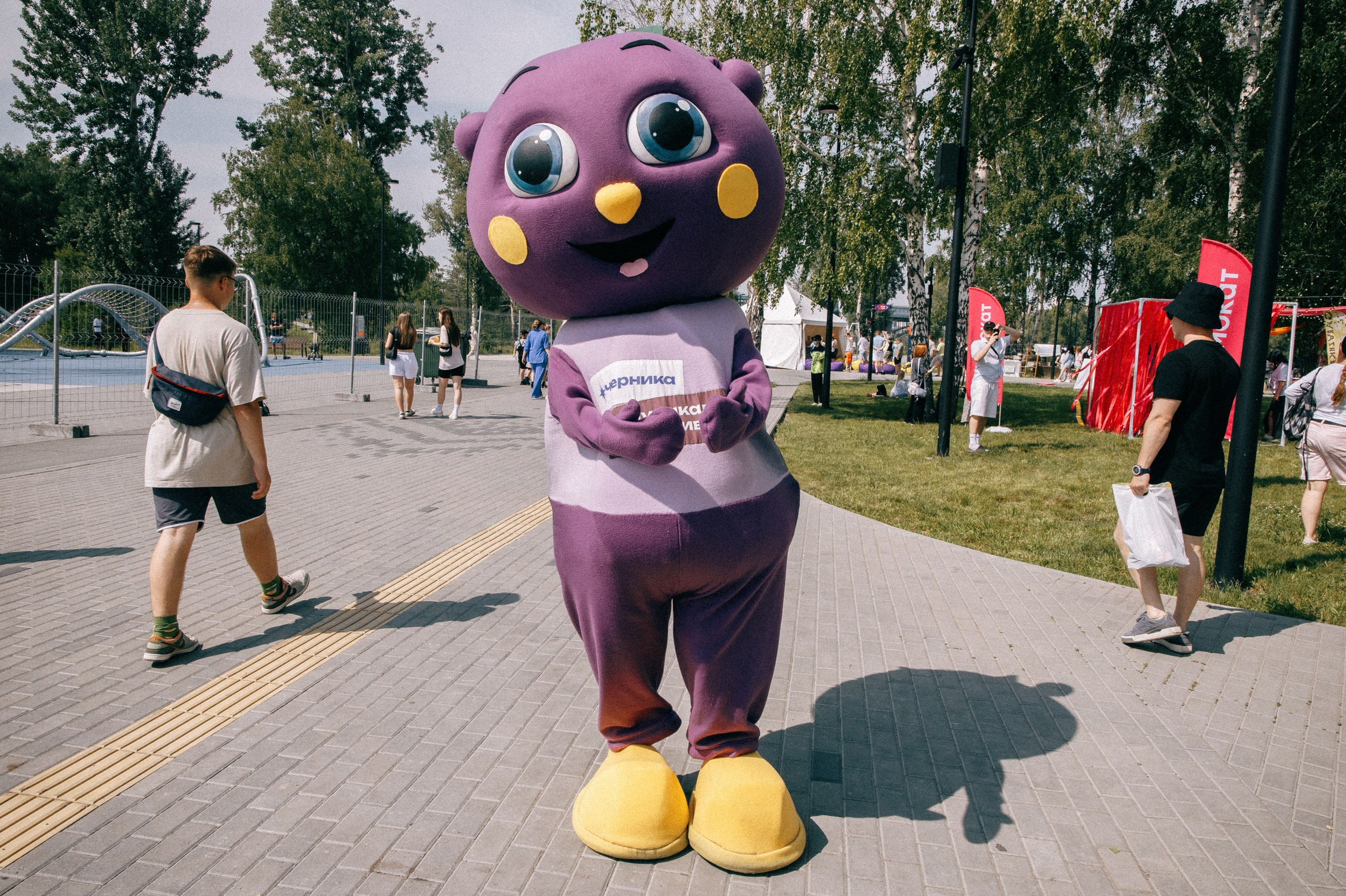 Черника Music Fest. Свадебный и репортажный фотограф в Новосибирске Матлак Дарья