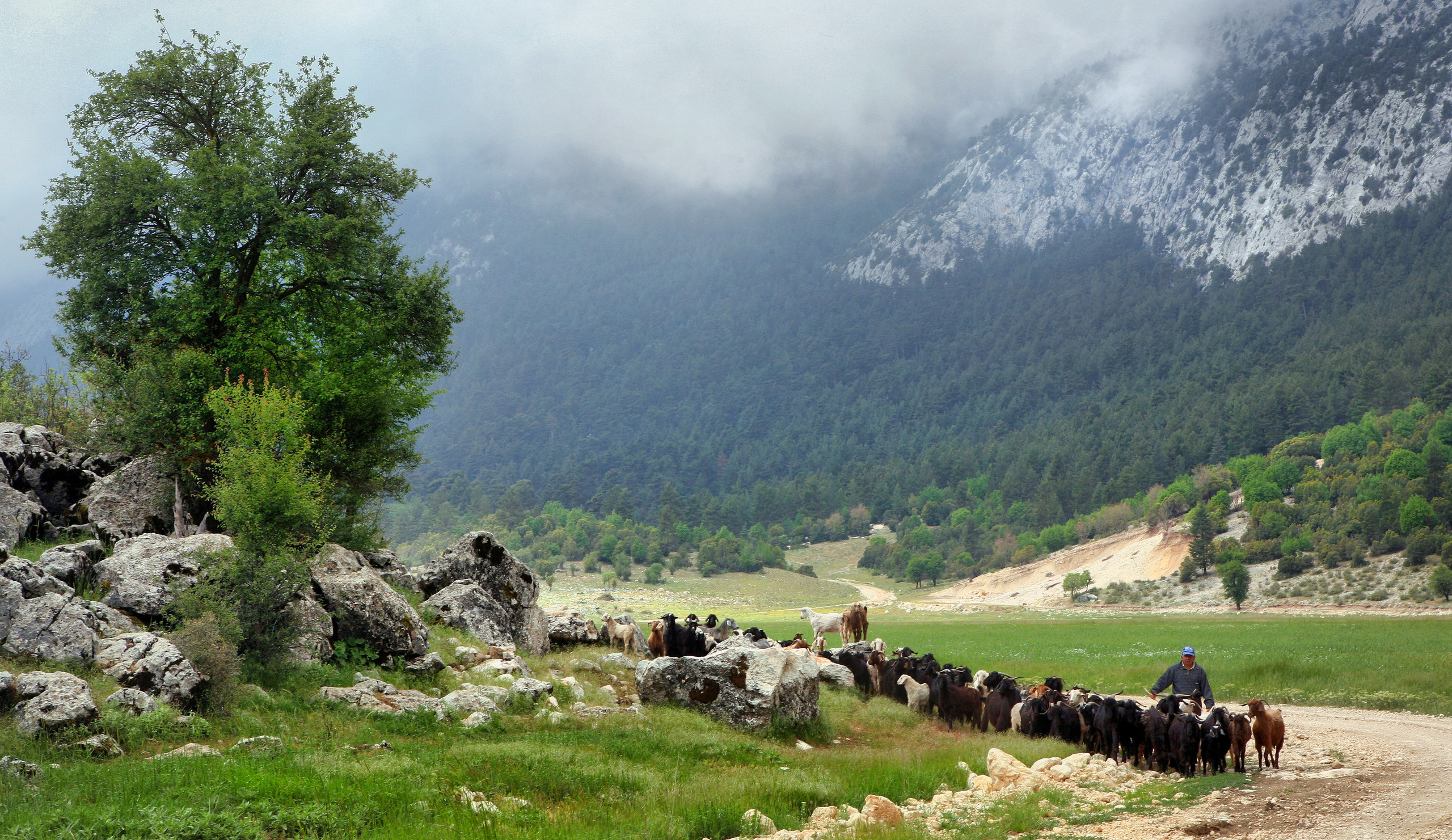 Кемер (Турция). Фотограф Владимир Остапенко