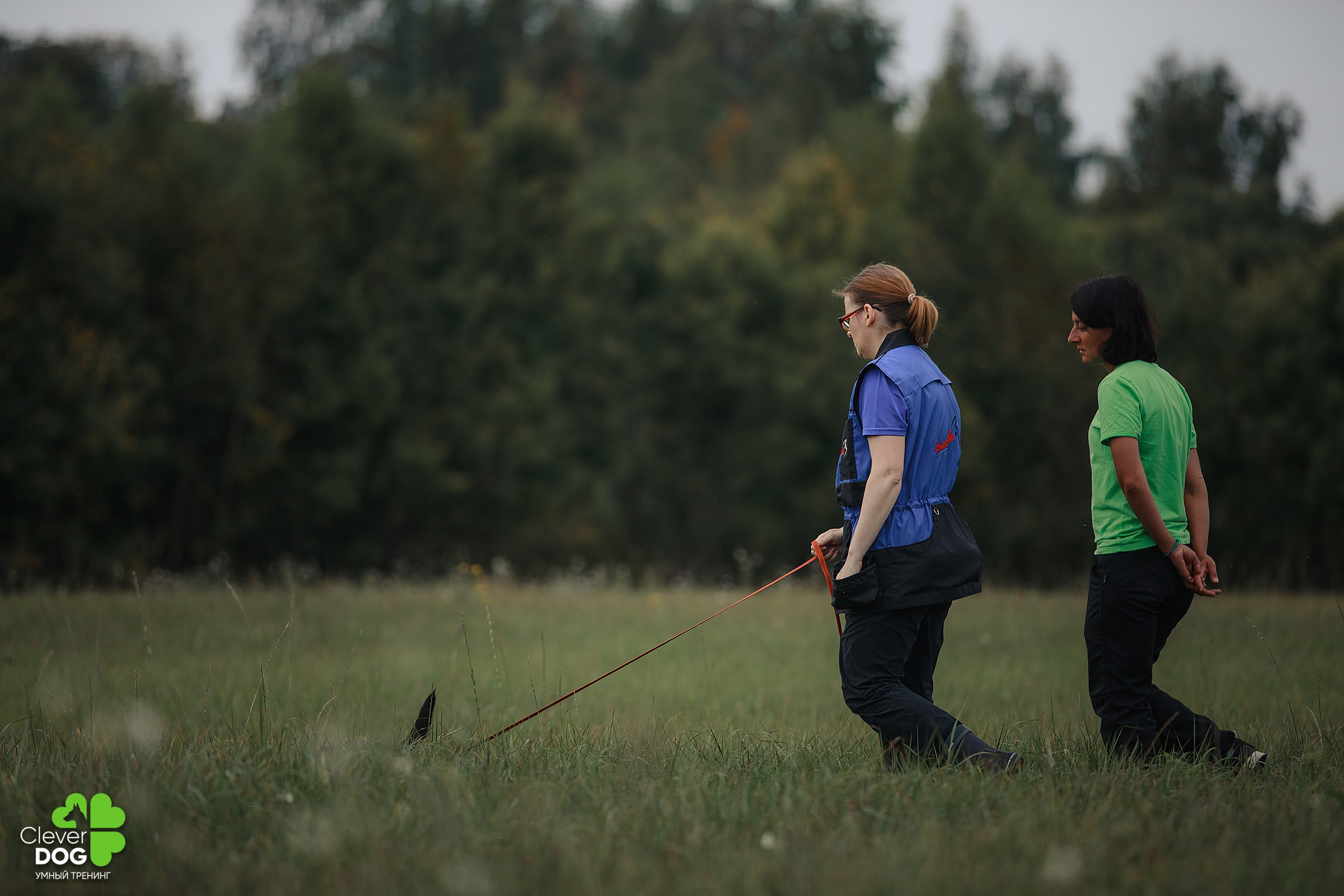 Кинологический лагерь CleverDog, 2024. Фотограф-анималист Mary Mart — Москва, Питер