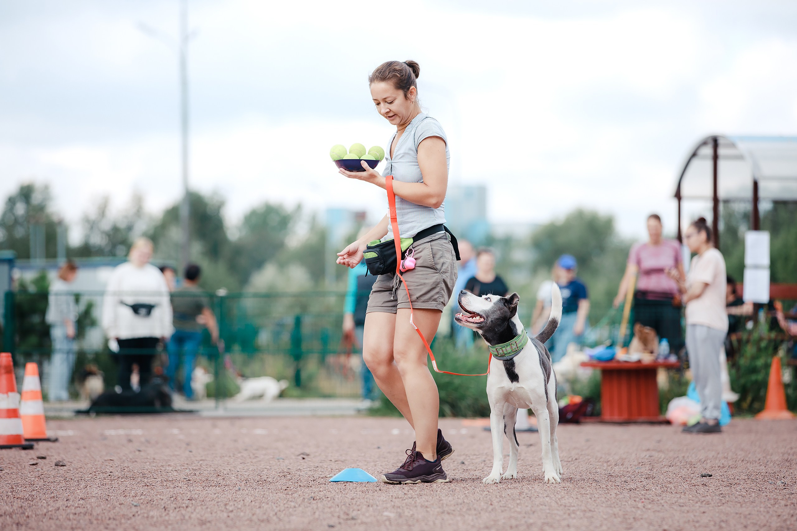 Питч&Гоу + веселые старты. Фотограф-анималист Mary Mart — Москва, Питер