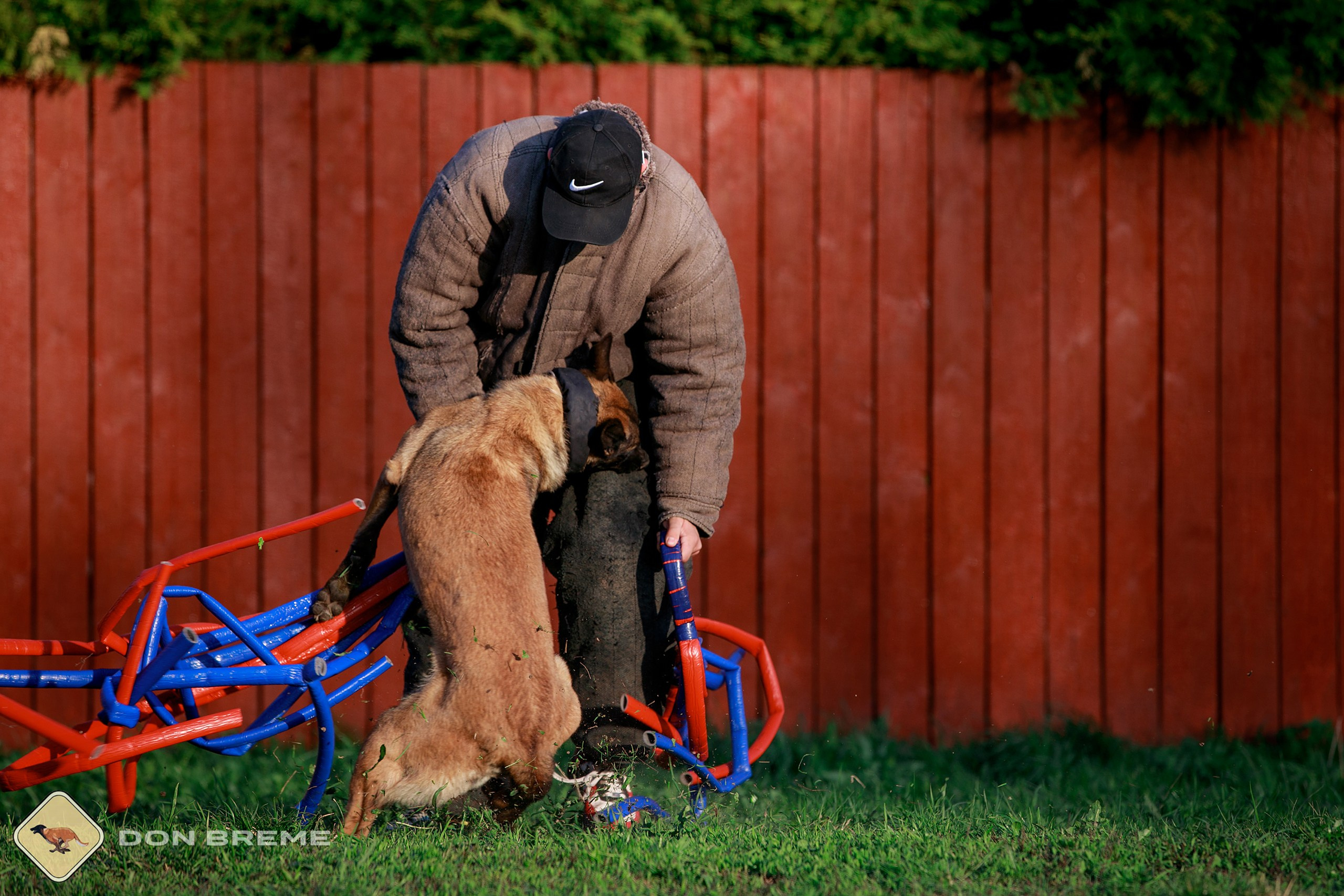 Семинар для фигурантов, день 4. Фотограф-анималист Mary Mart — Москва, Питер