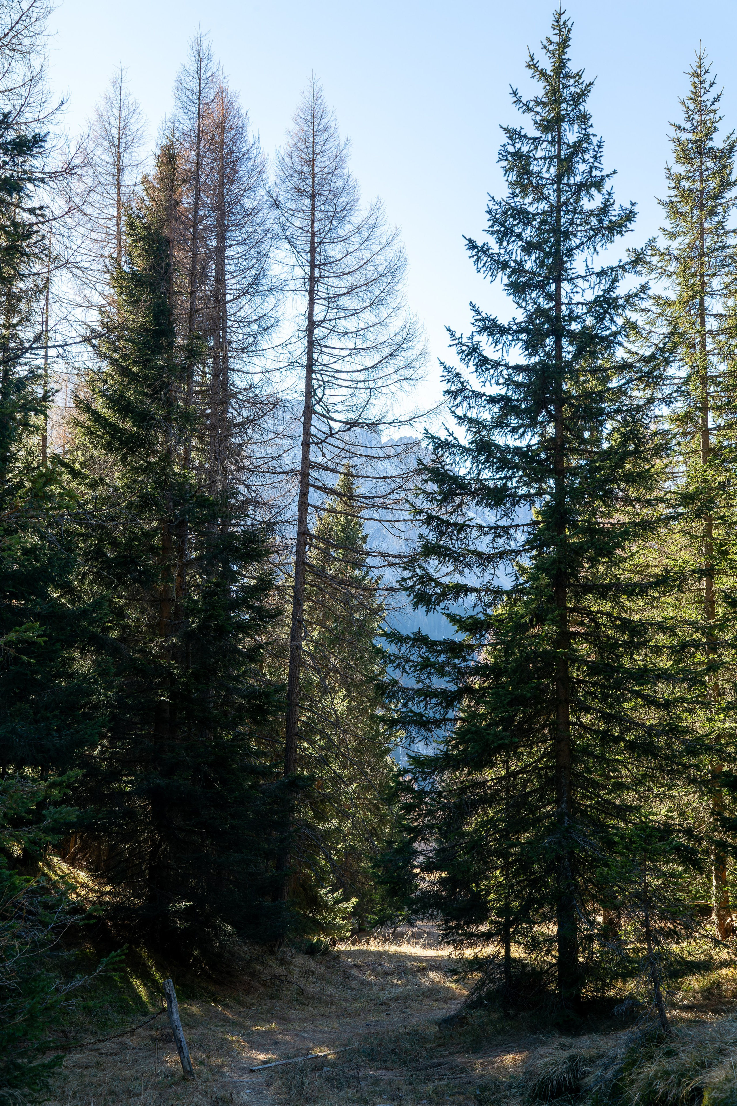 Фотосъёмка Альпы Италия, пейзажи и архитектура. «Студия DRONAVT`s» — видеосъёмка и фотография г. Москва