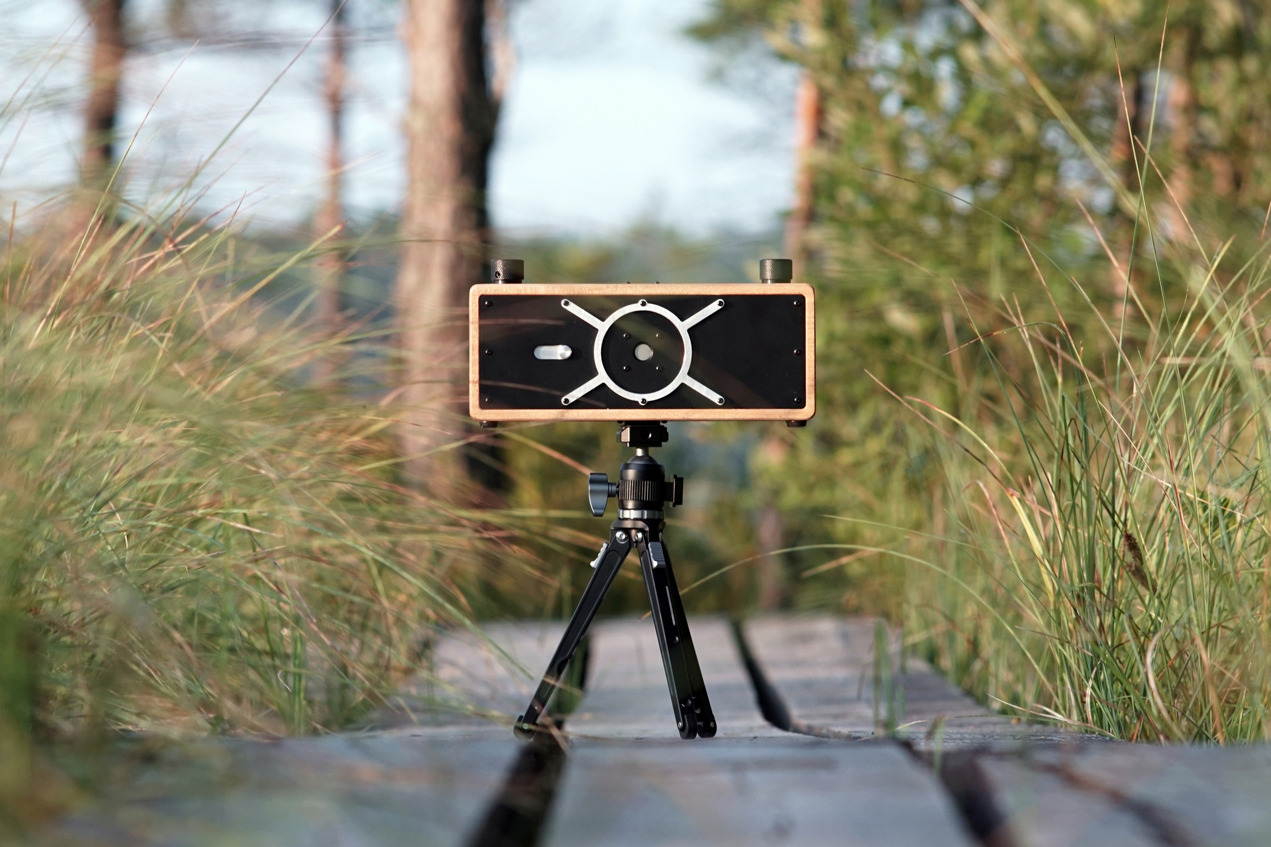 Фотограф Максим Шевцов