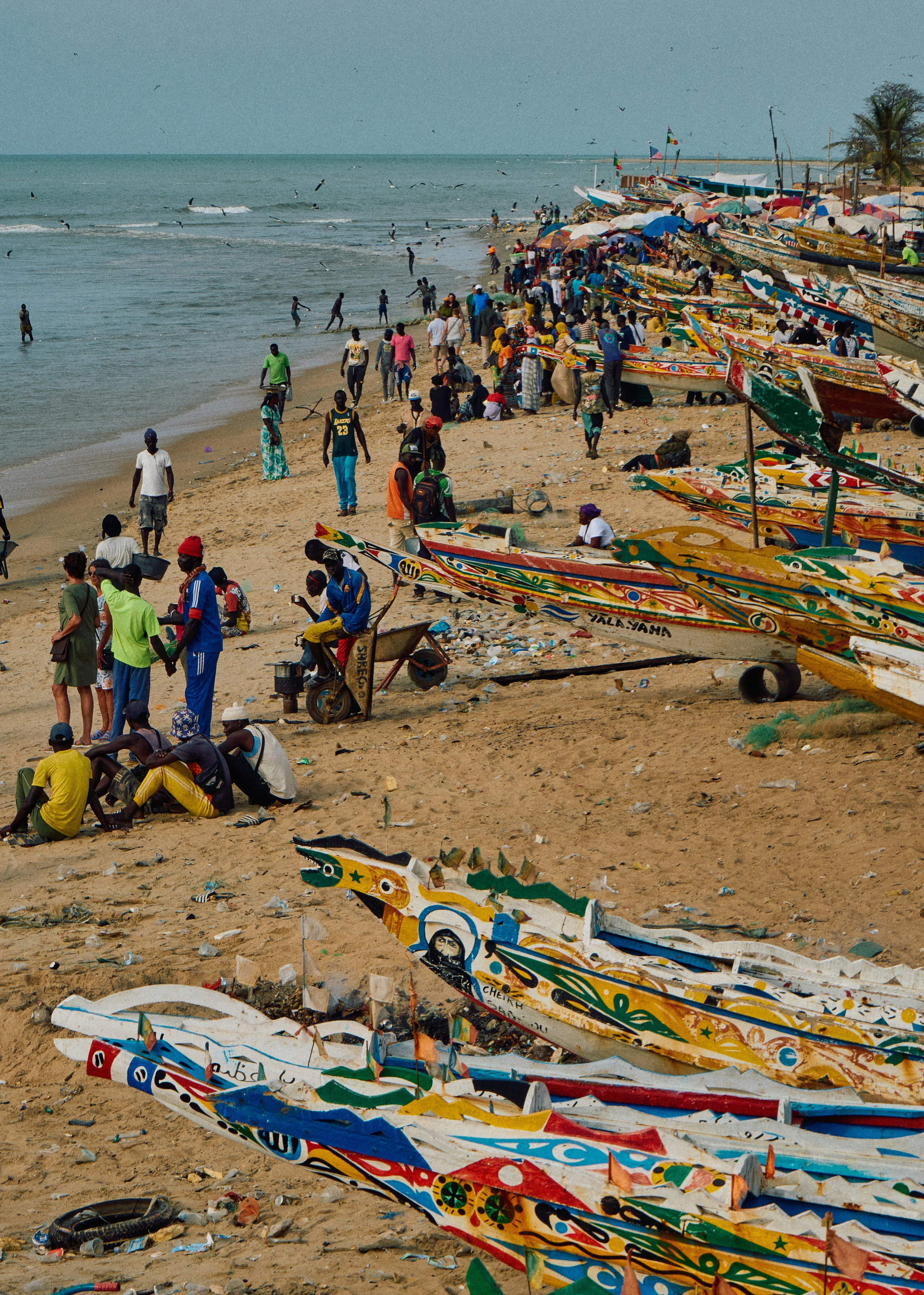 Guinea-Bissau. See the moment and catche. commercial and reportage
