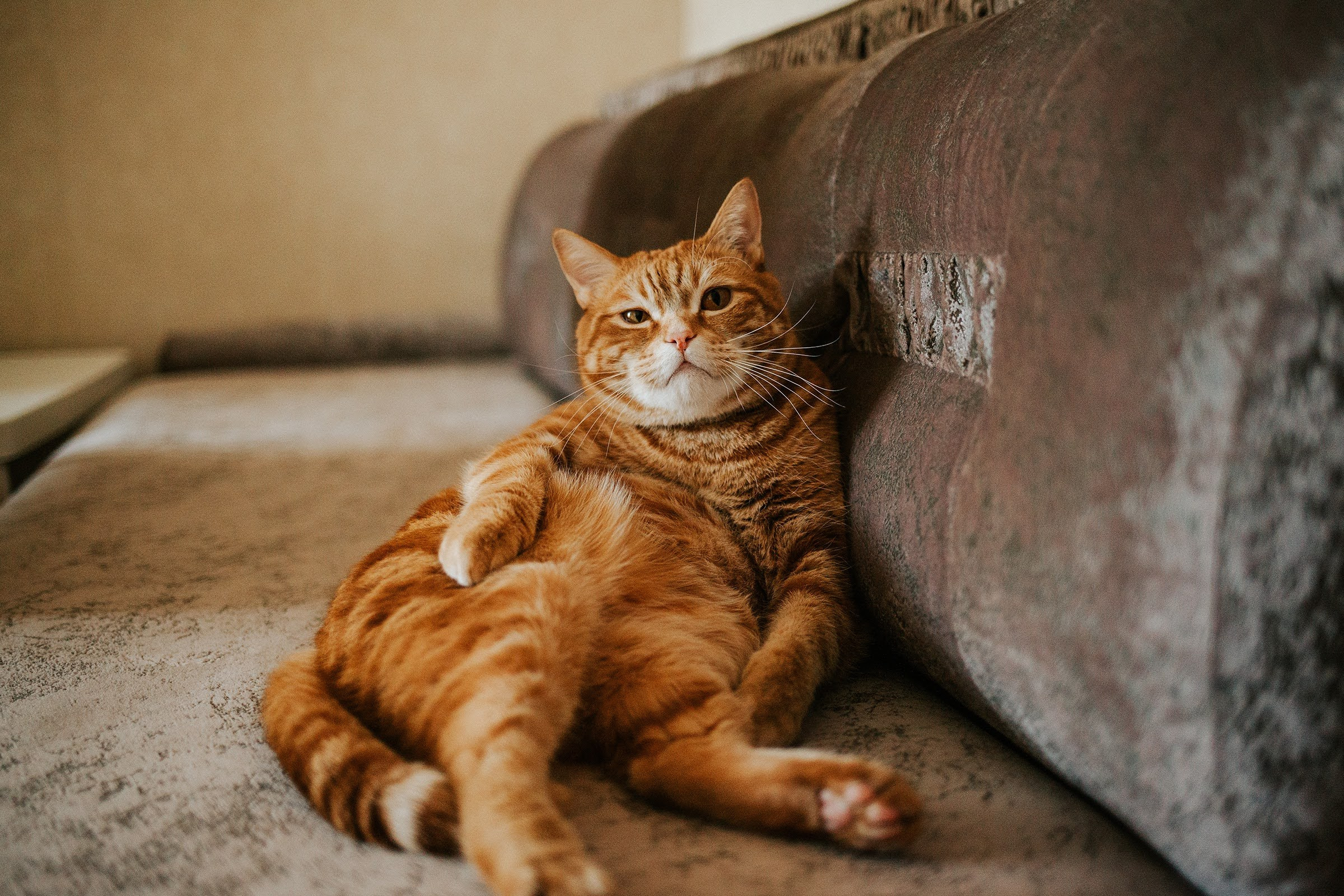 Домашняя съемка 7. Семейный домашний фотограф Москва Ивантеевка Пушкино Ирина Якштес