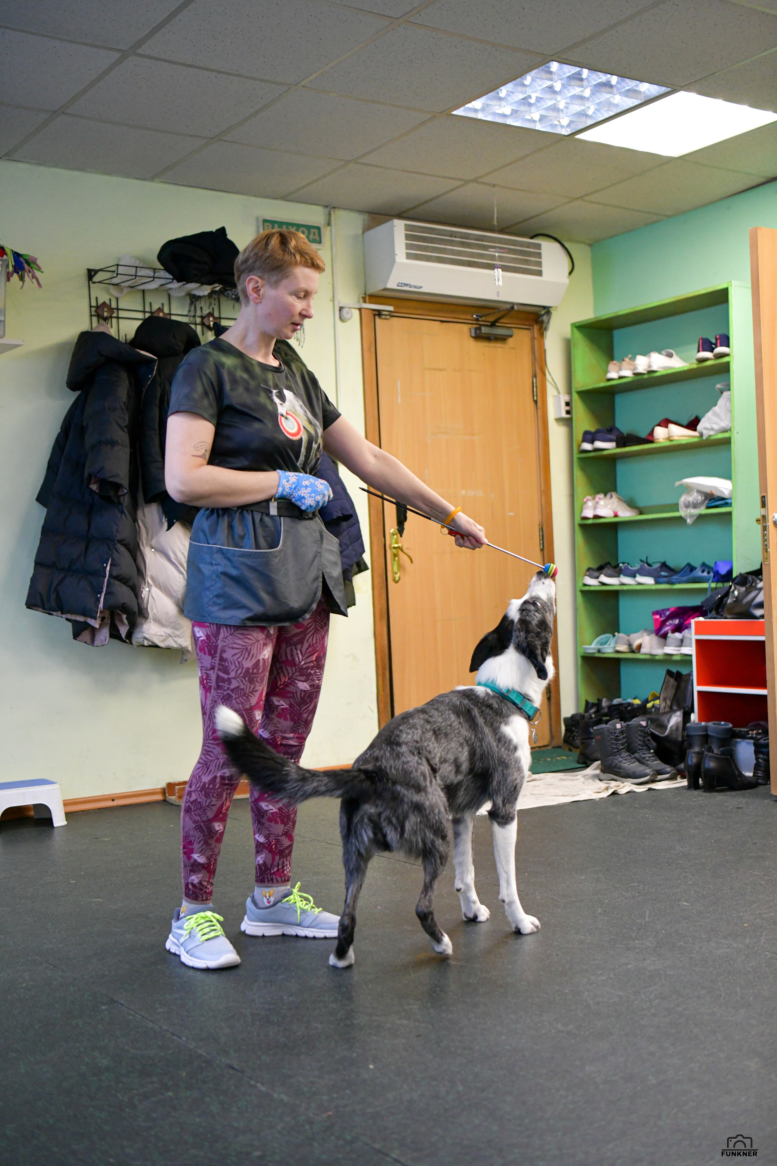 Кинологический клуб «Бодрый хвост». Свой взгляд через объектив