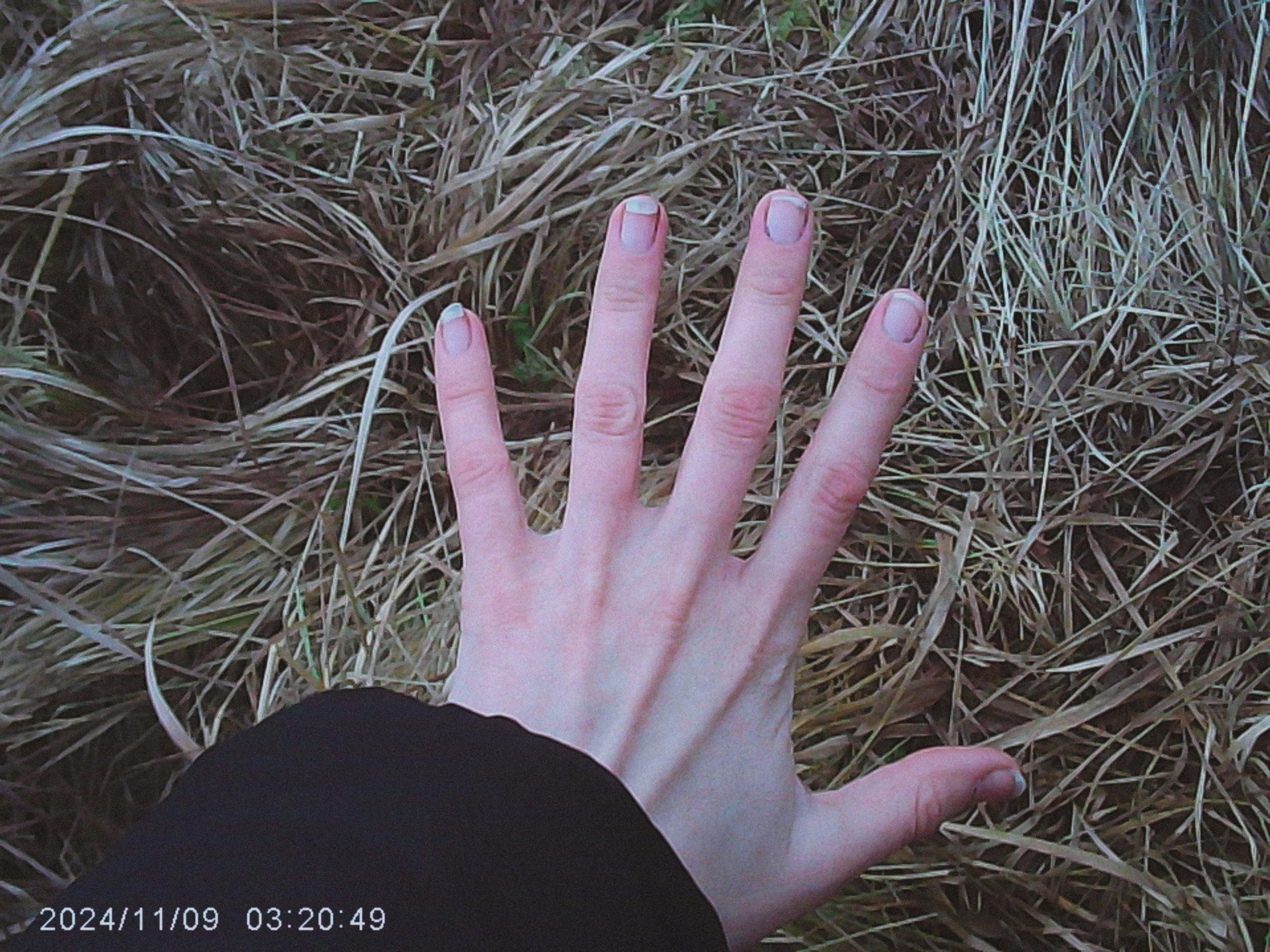 W&o q3. Анна Мильч