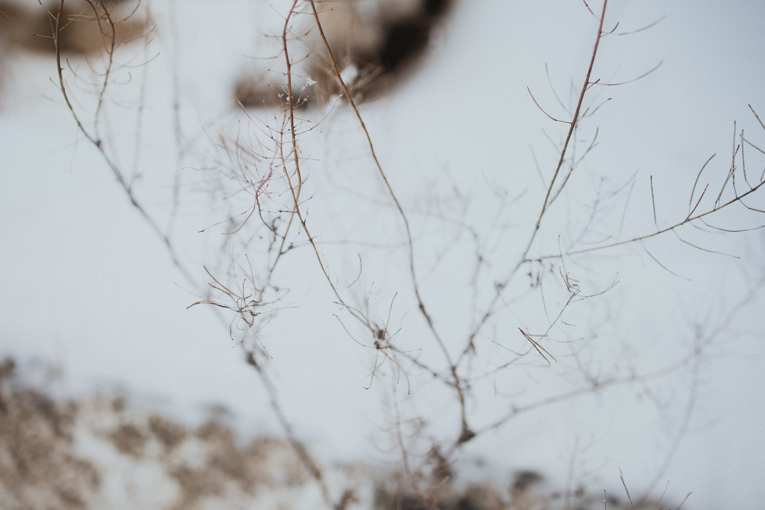 Маршрут ветеранов — электросила. Анна Мильч