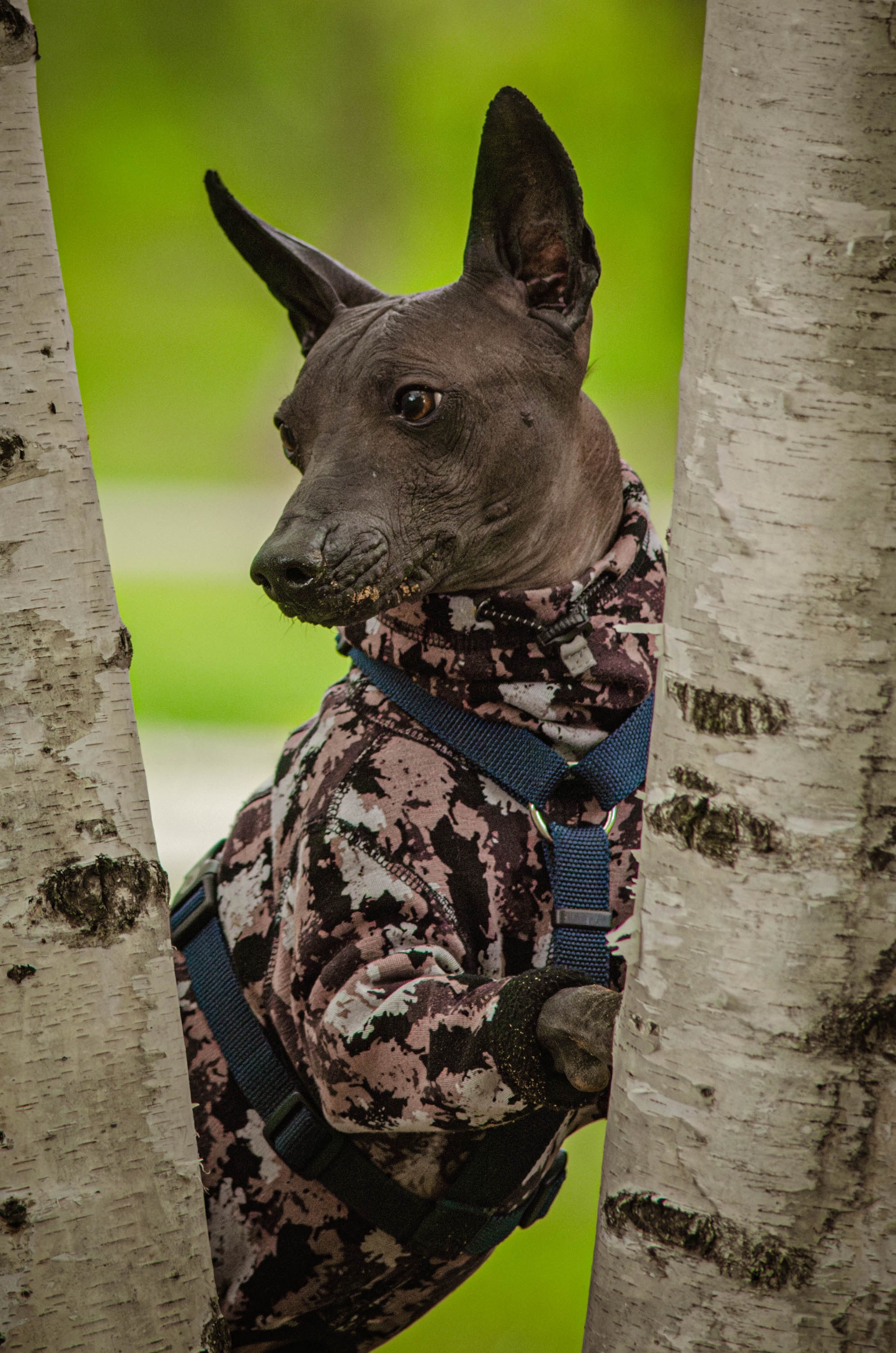 Сёма. Фотограф Светлана Блинова, Москва и Московская область