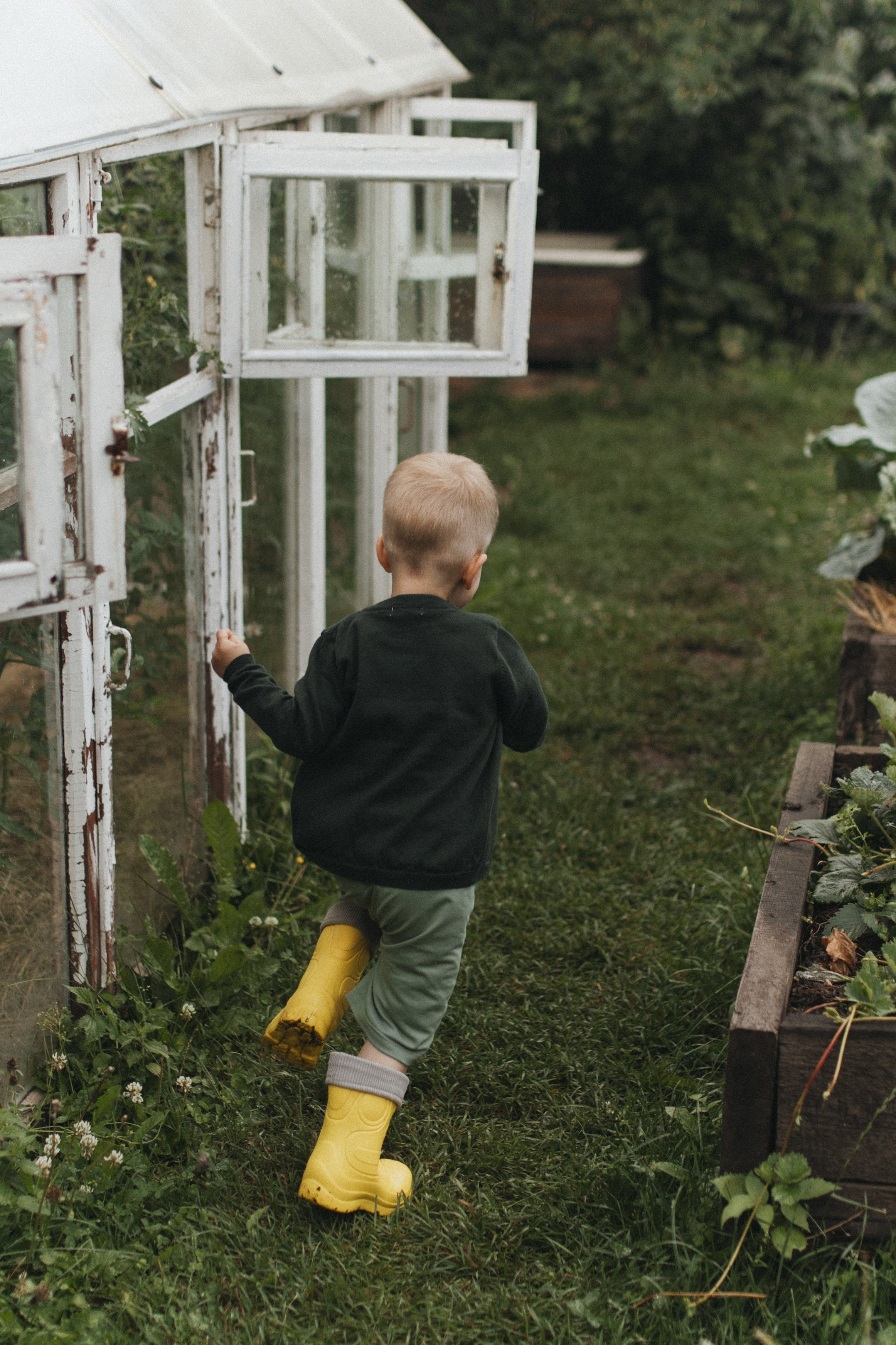 «НА ДАЧЕ». Maria Startseva Photo