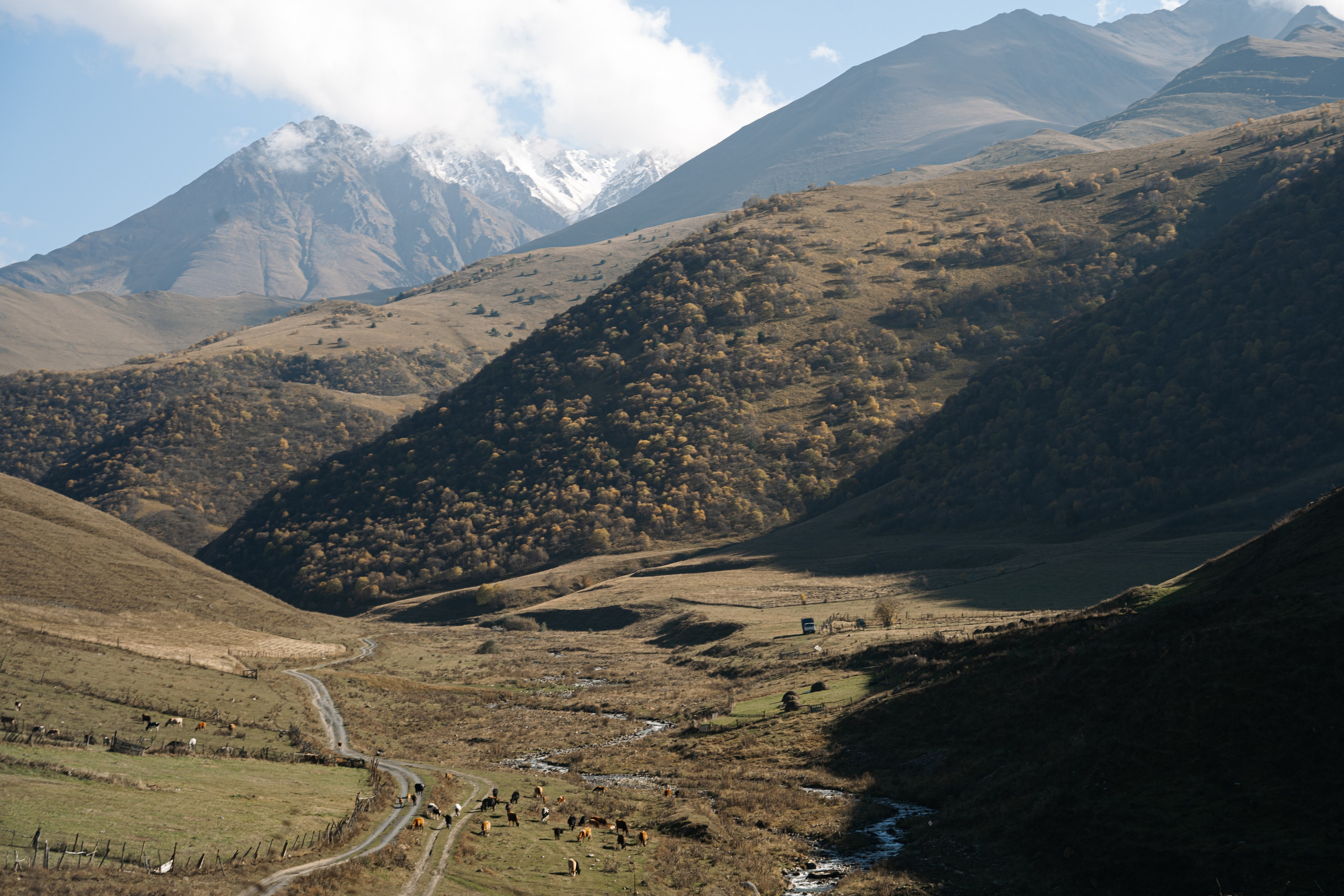Фото сопровождение туров. Фотограф в Ростове-на-Дону и по всему миру Веникова Ольга