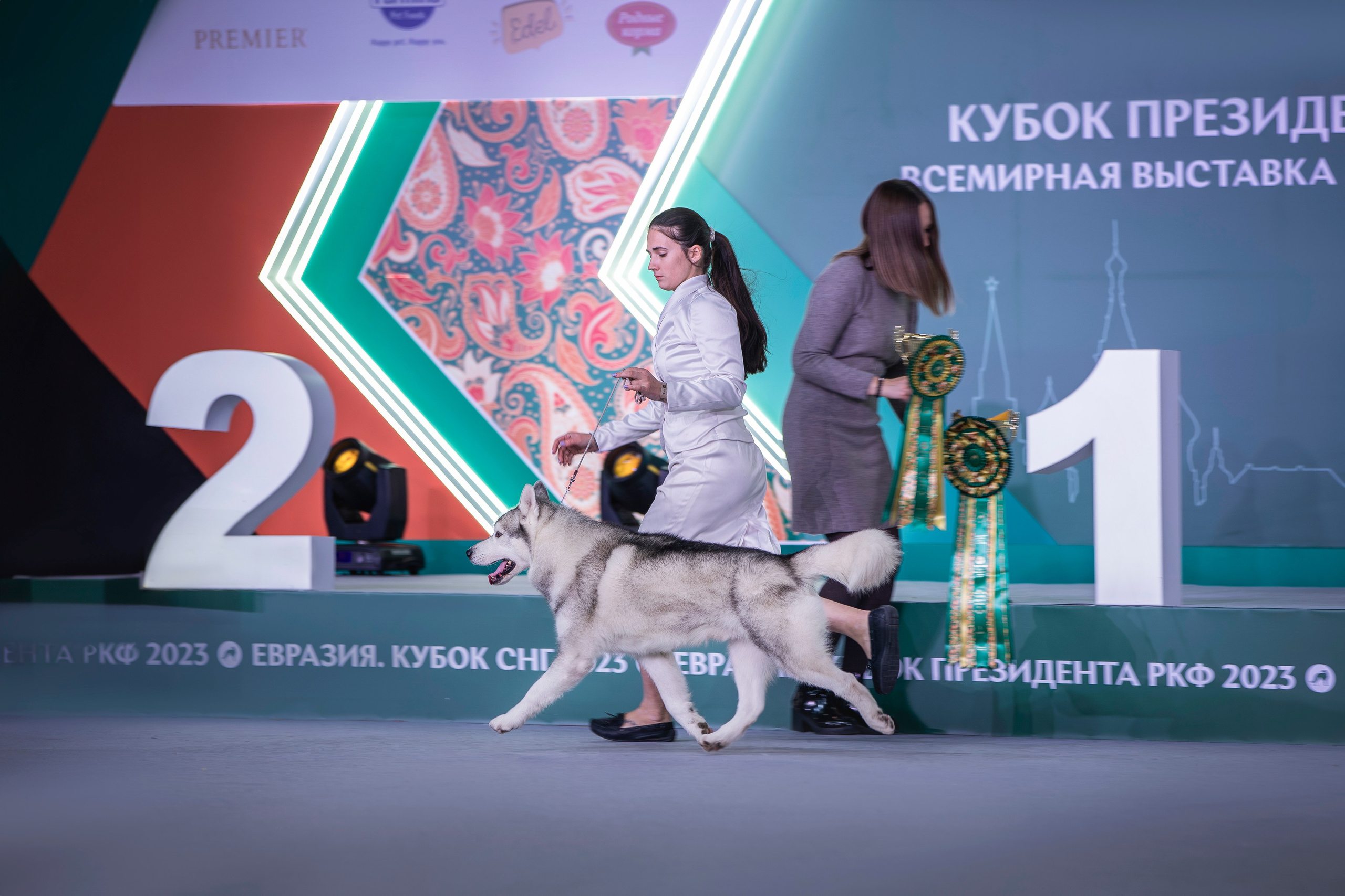 Евразия 2023. Фотограф анималист в Москве Майорова Евгения