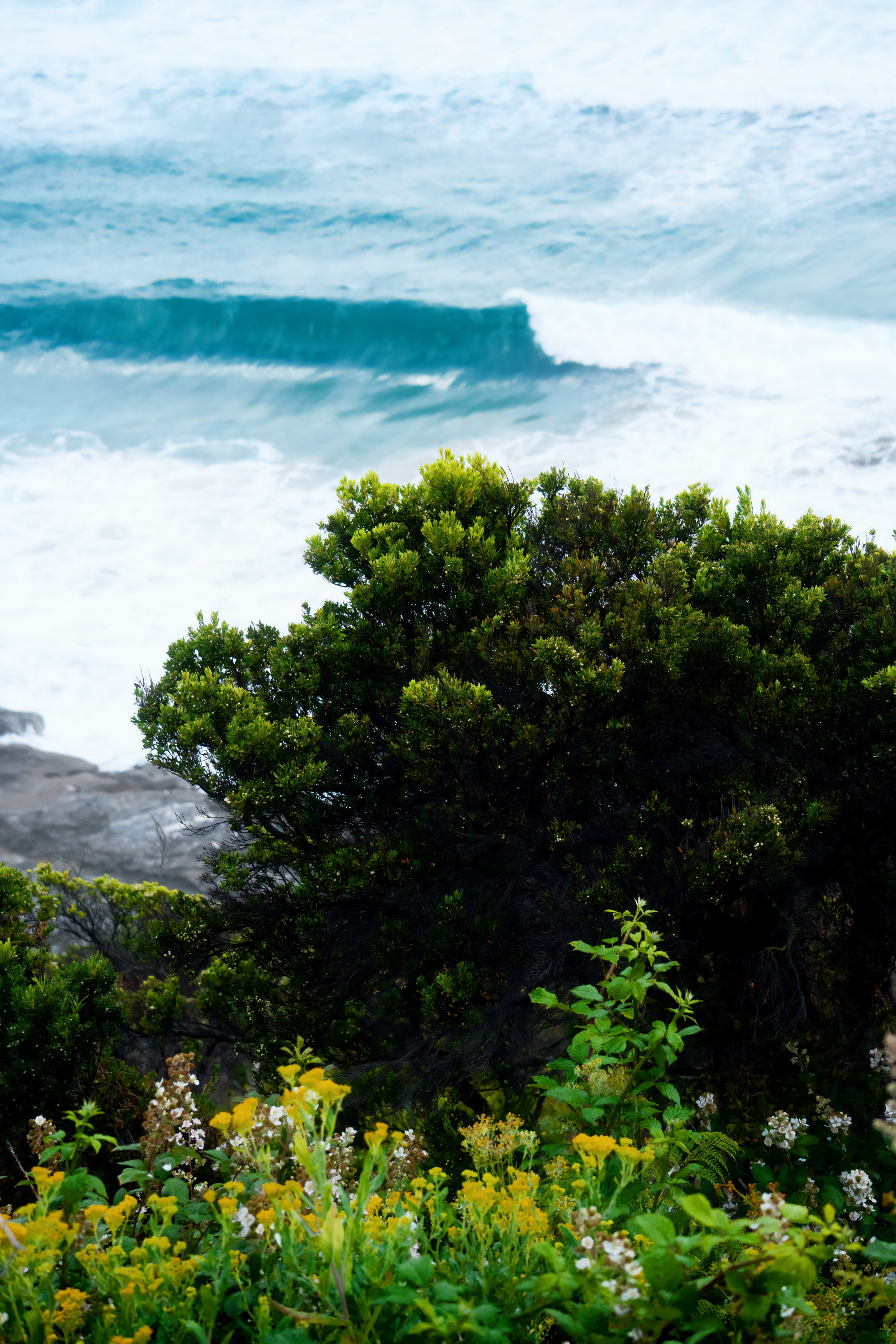 Австралия. Фотограф в Хабаровске. Фотография за 24 часа