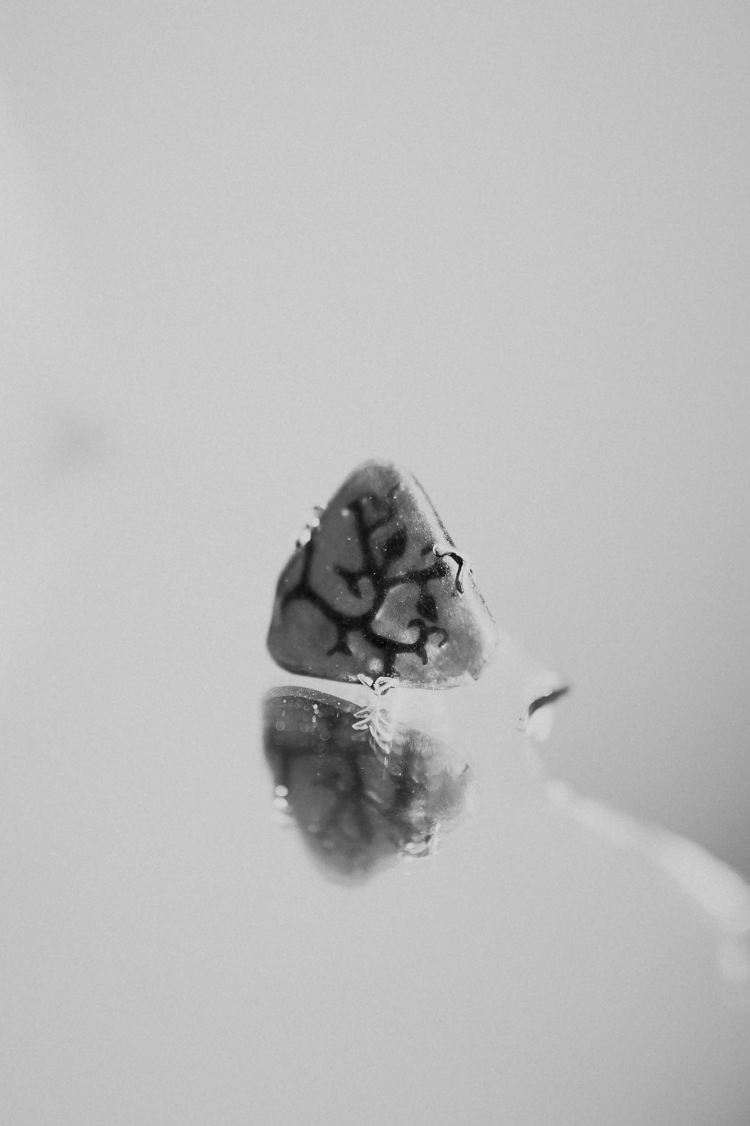 Контент. Фотограф Иркутск