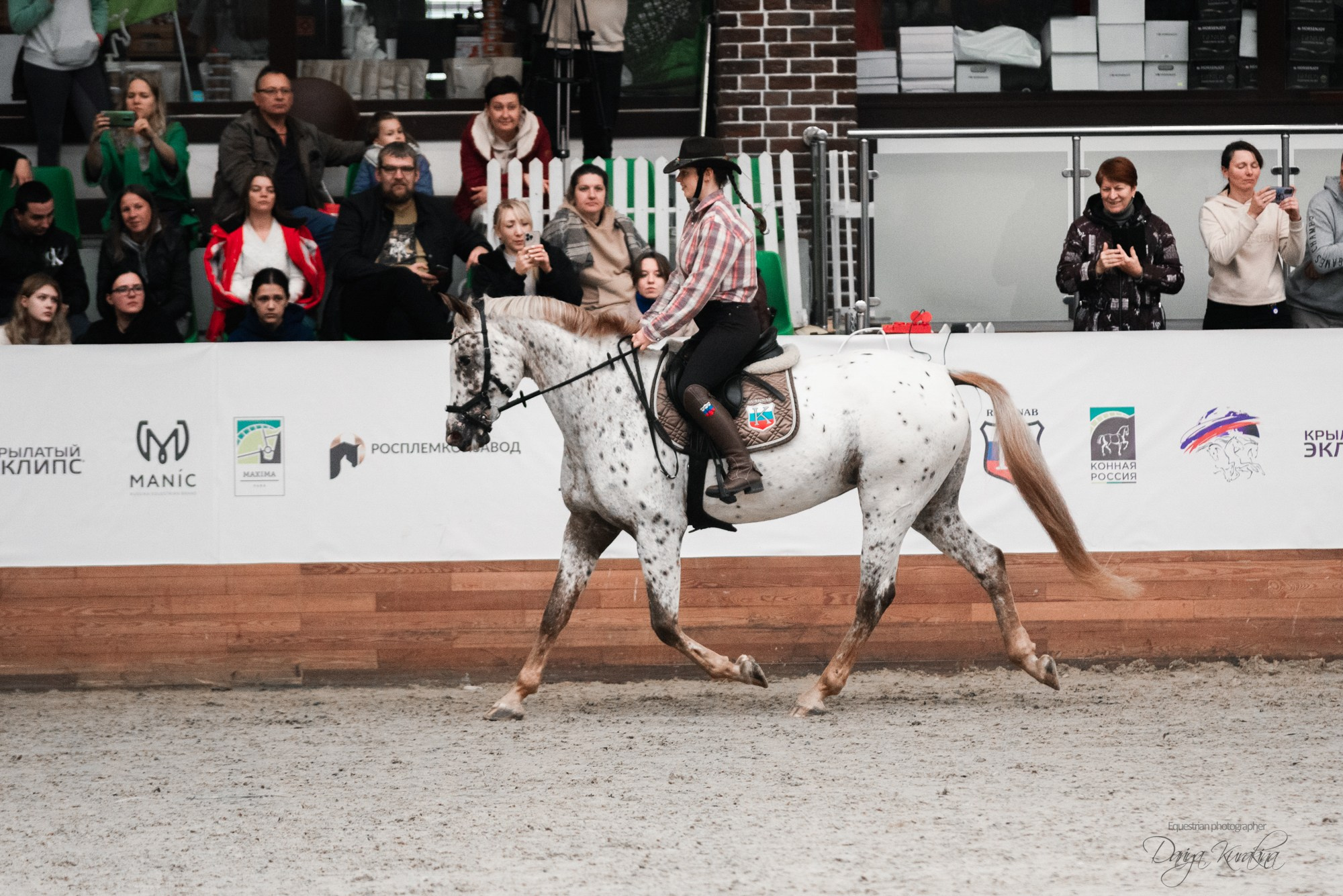 8-я международная выставка Конная Россия. Конный фотограф Куракина Дарья • Фотосессии с лошадьми