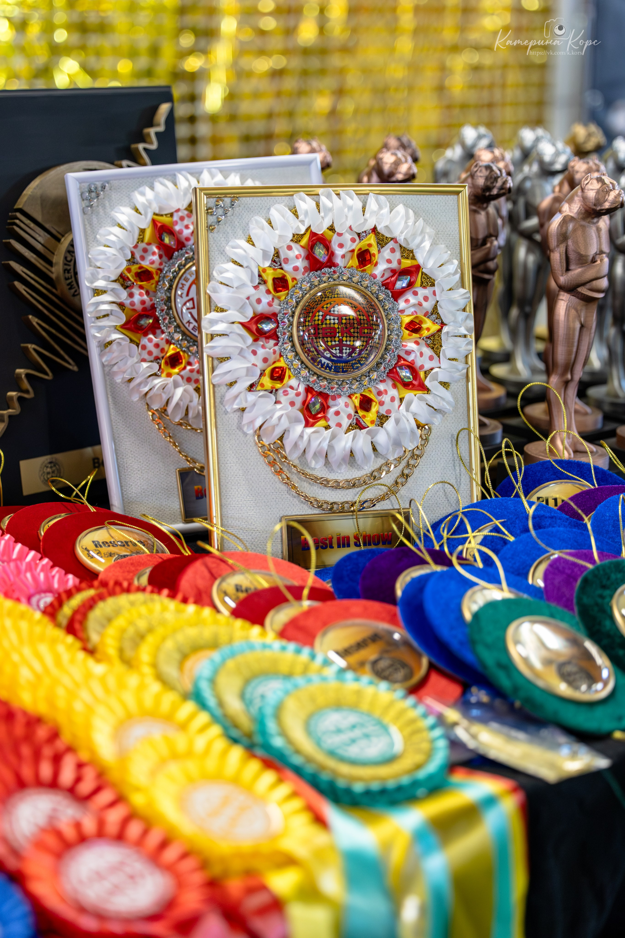 Выставка АВКС СПб. Главная