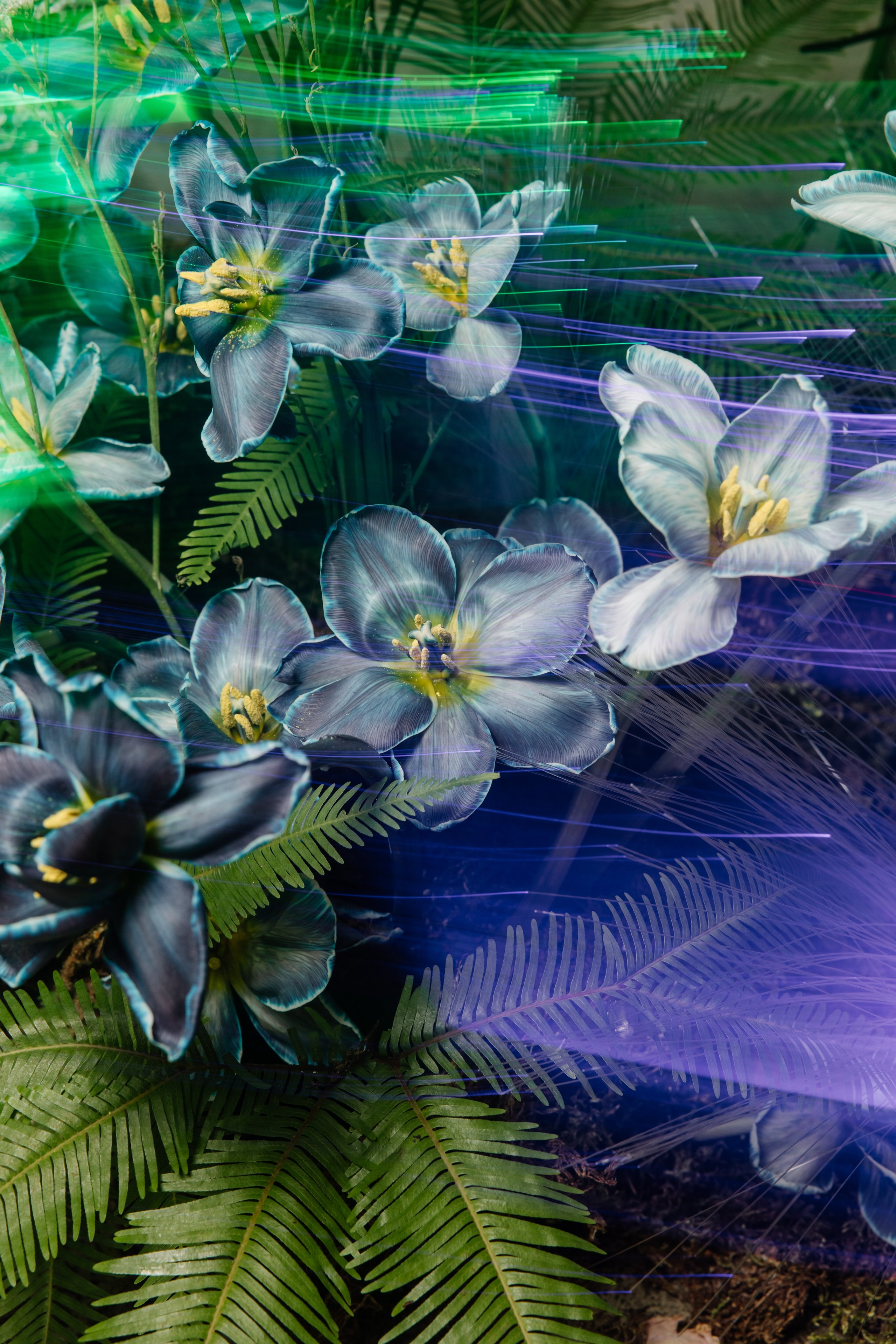 День рождения. Репортажный фотограф Ольга Кочетова в Москве