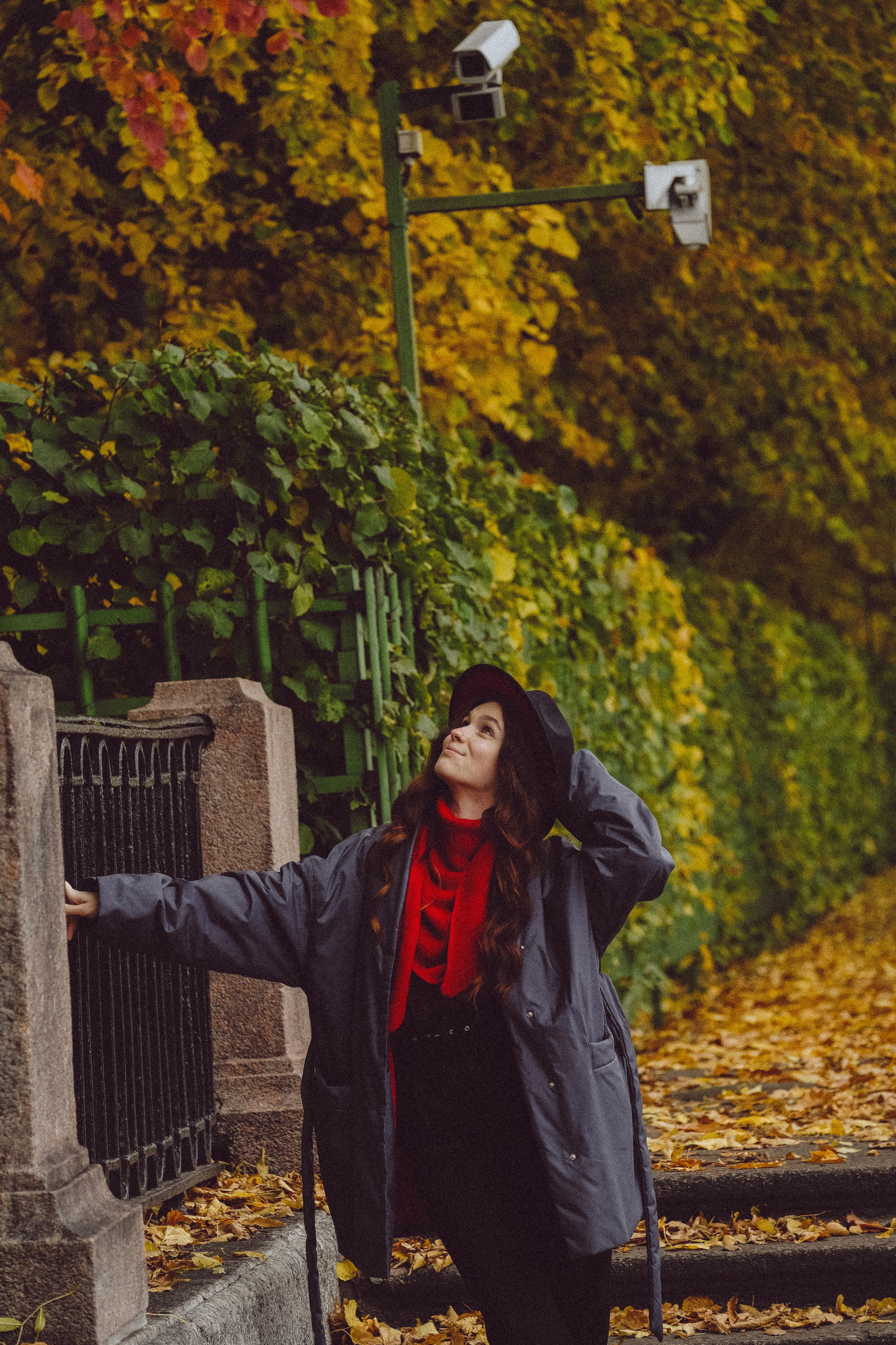 Осень. Профессиональный фотограф, Санкт-Петербург — Виктория Богомолова