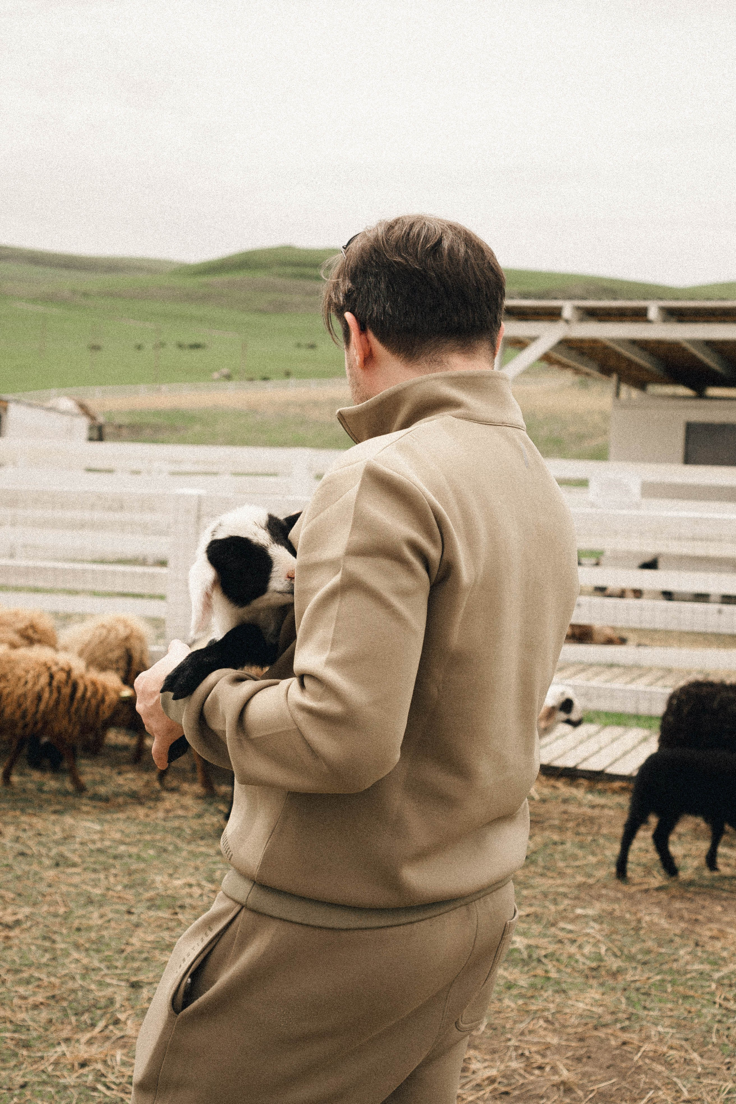 Ферма Альпак. Профессиональный фотограф, Санкт-Петербург — Виктория Богомолова