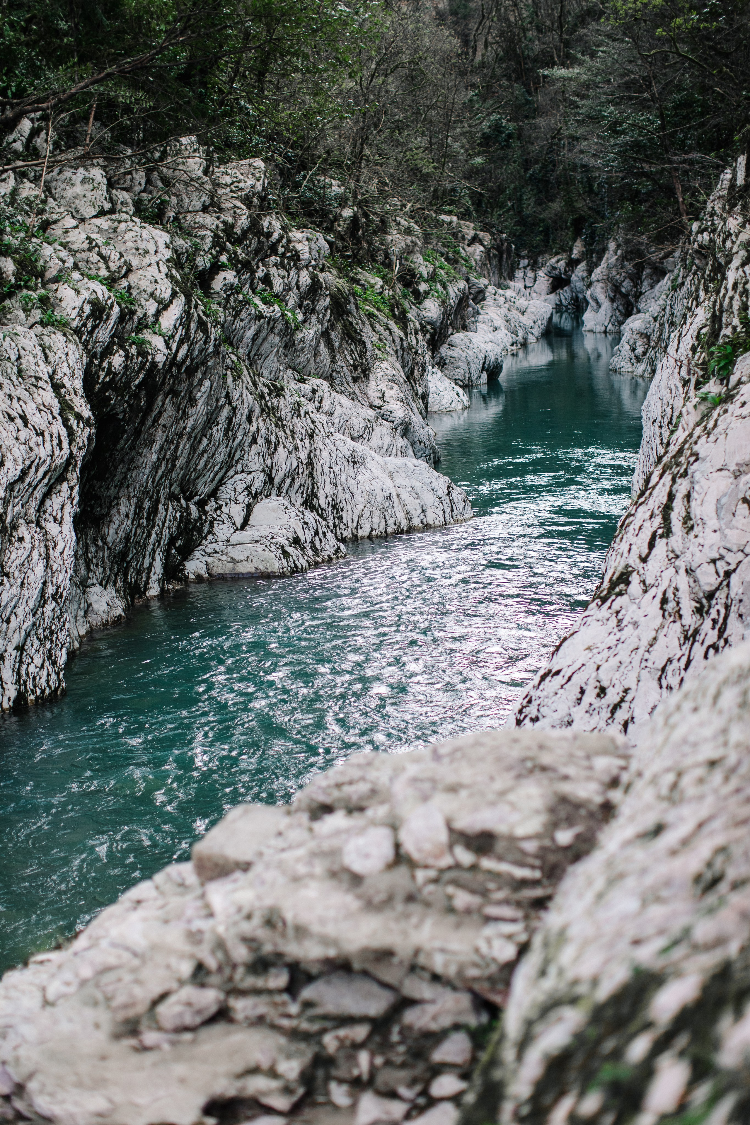 Лена. Свадебный, семейный фотограф Брянск, Москва — Виктория Антропова