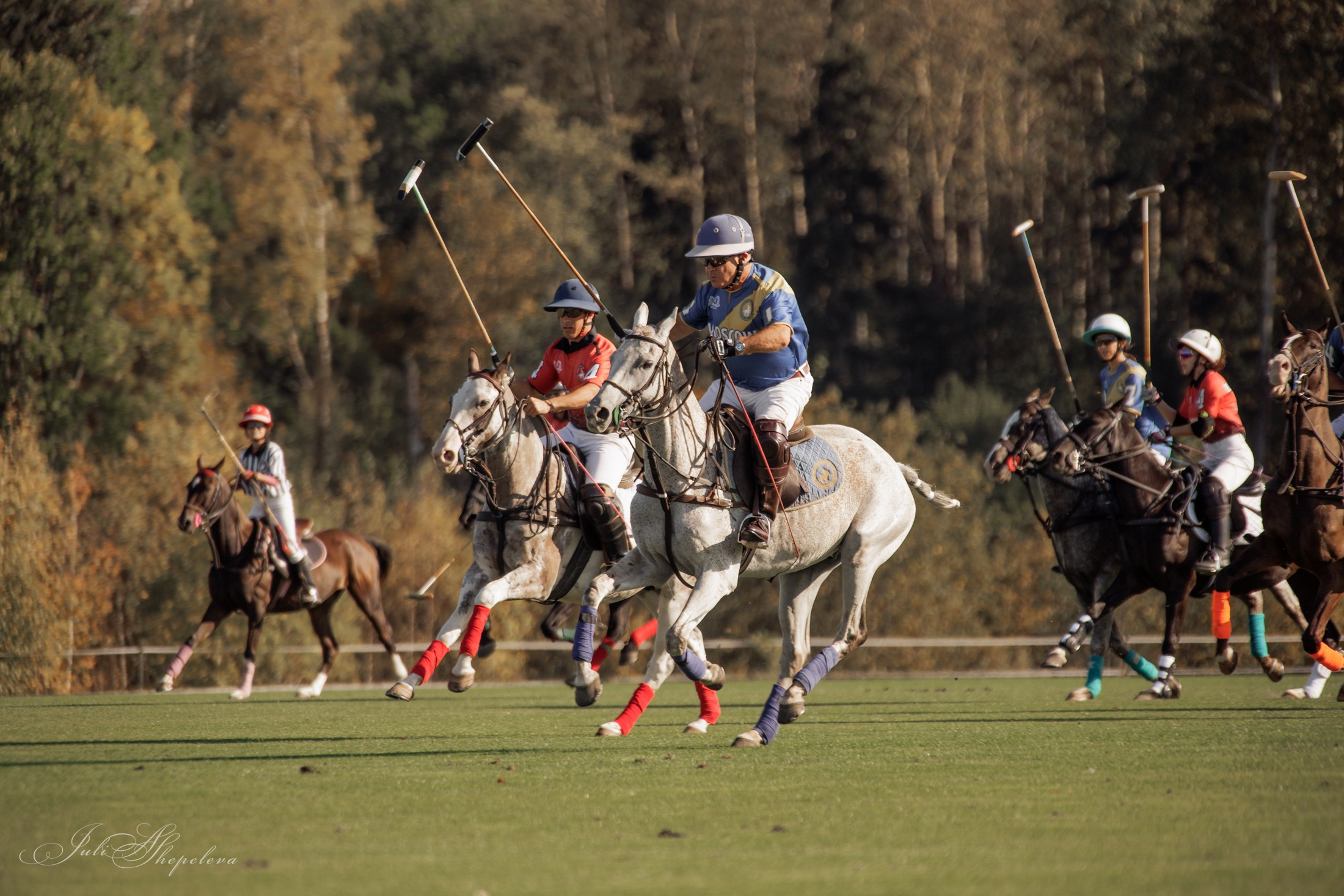 Осенний кубок по конному поло. Детская Конная фотография в Москве Юлия Шепелева