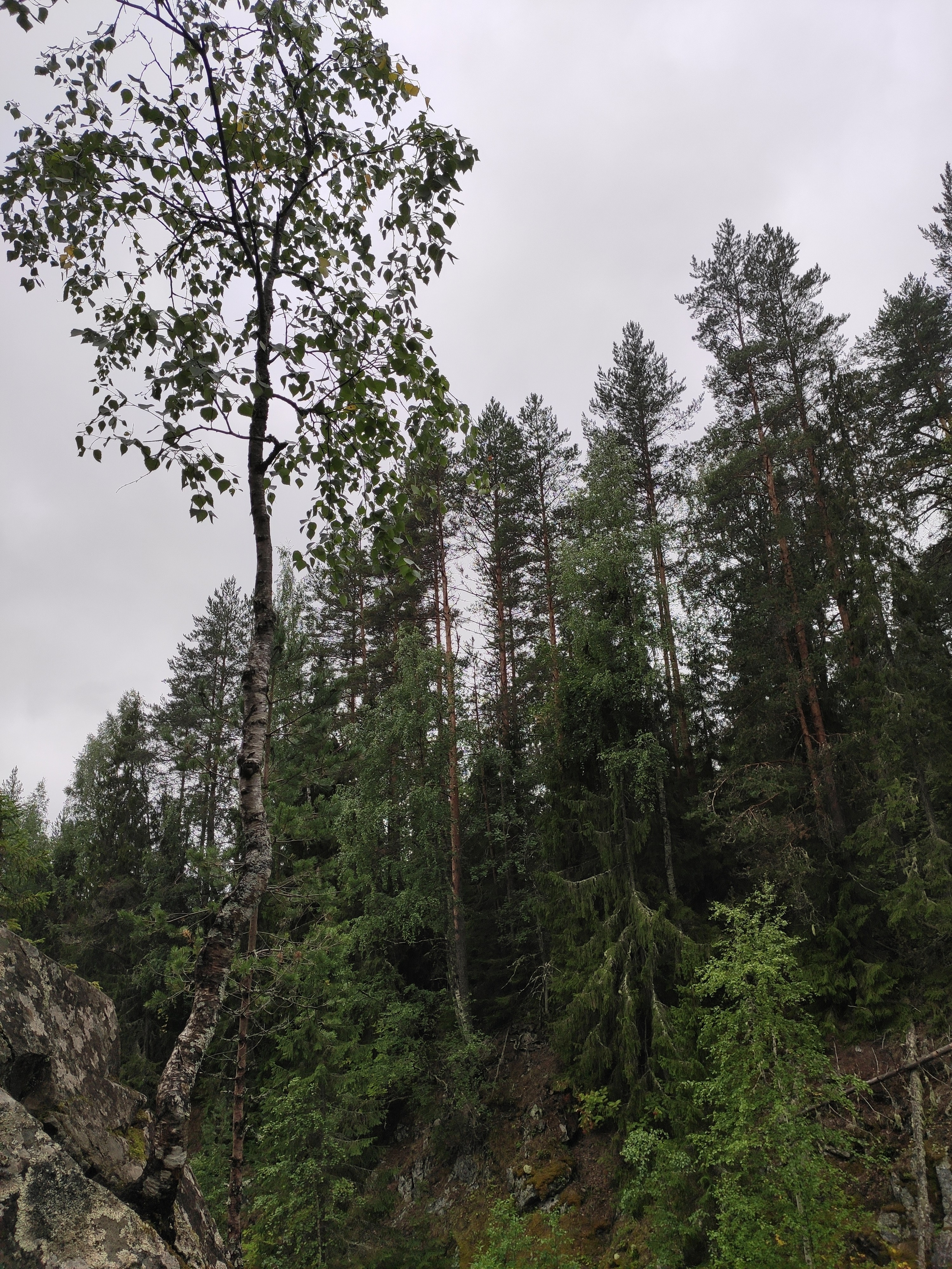 Водопад берет название от финского слова kiivas - стремительный