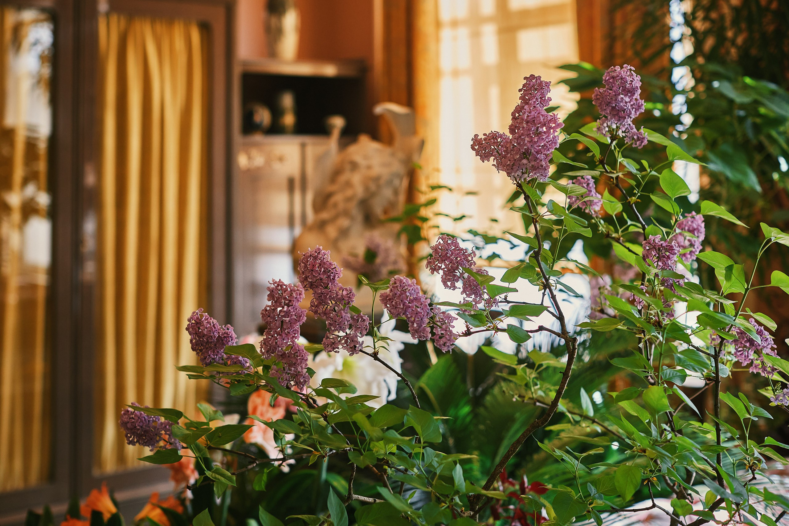 Александровский Дворец Царское Село. Фотограф Валерий Сабрам