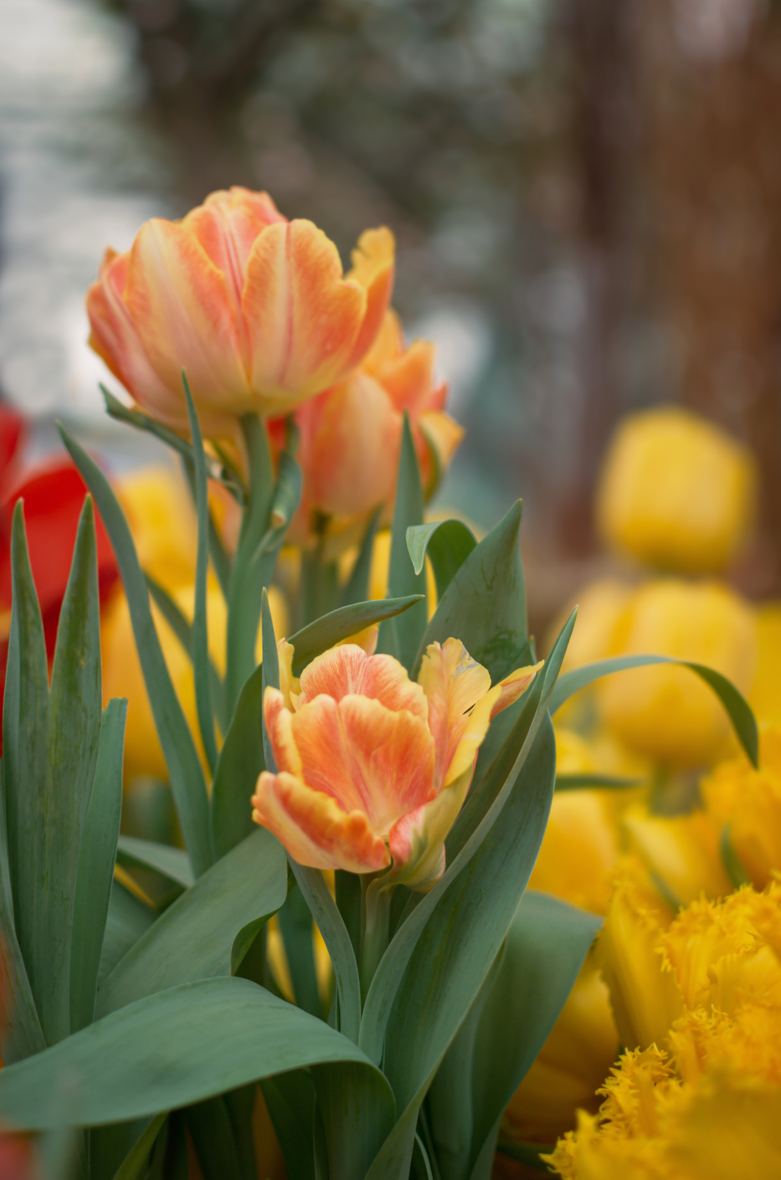 Атмосфера. Предметный и контентный фотограф в Москве и Зеленограде Анастасиевская