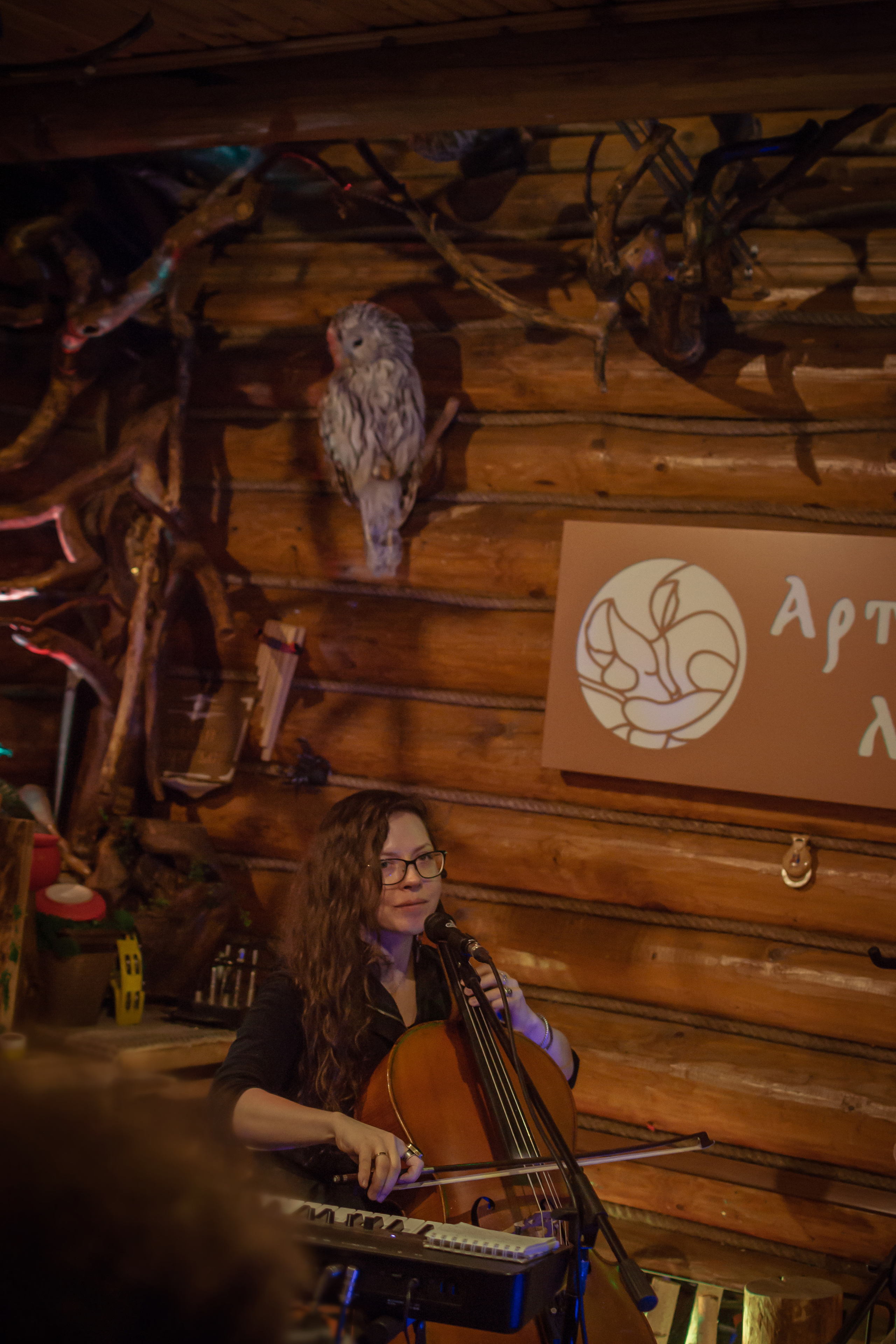 Концерт в Арт-избе у Лиса. Предметный и контентный фотограф в Москве и Зеленограде Анастасиевская