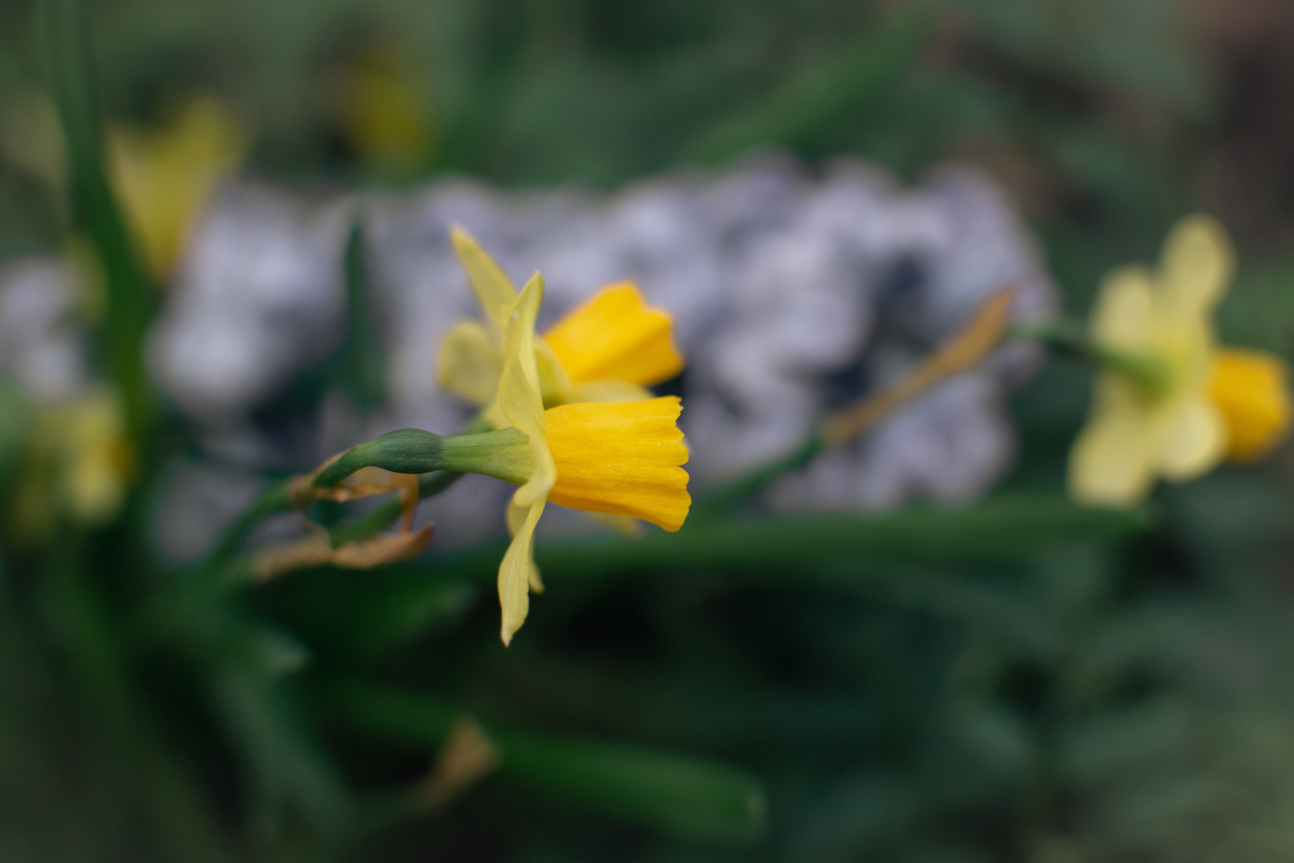 Атмосфера. Предметный и контентный фотограф в Москве и Зеленограде Анастасиевская