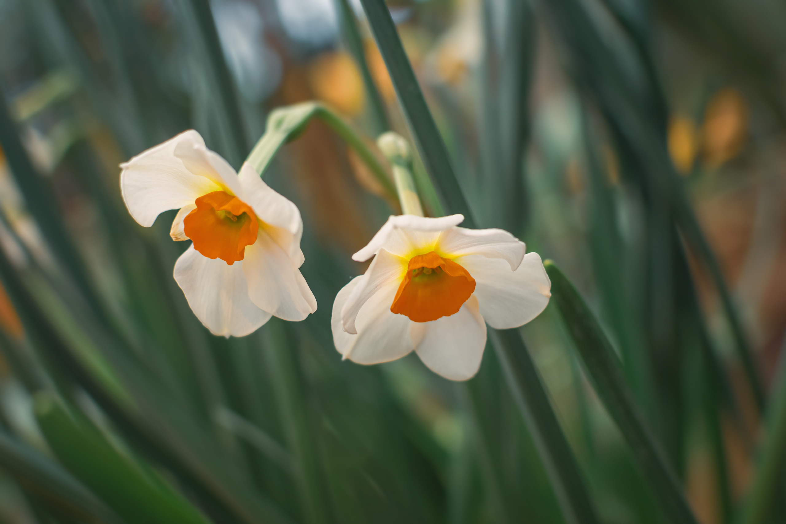 Атмосфера. Предметный и контентный фотограф в Москве и Зеленограде Анастасиевская