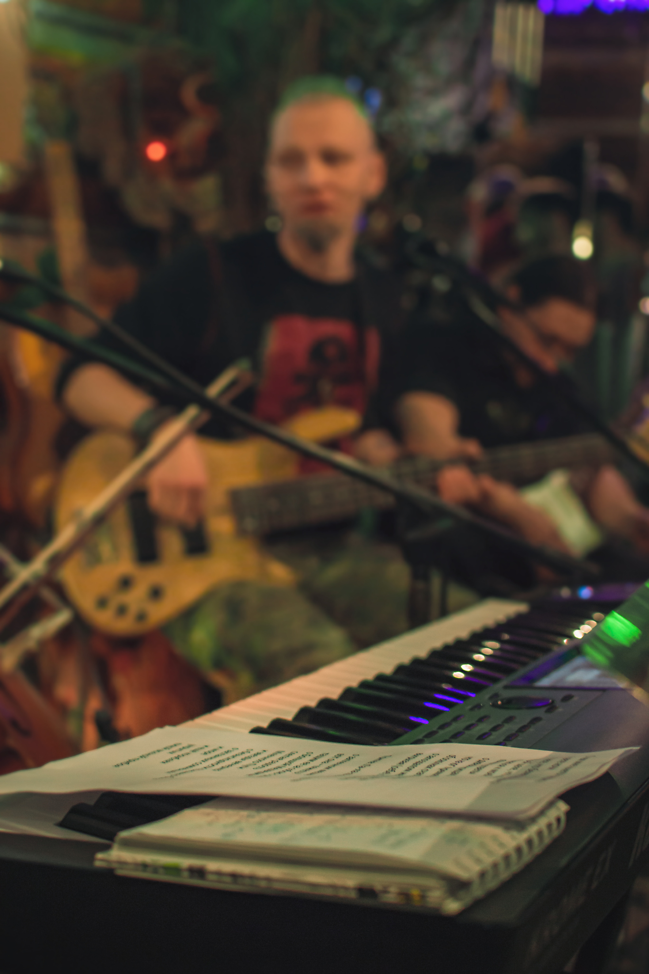 Концерт в Арт-избе у Лиса. Предметный и контентный фотограф в Москве и Зеленограде Анастасиевская