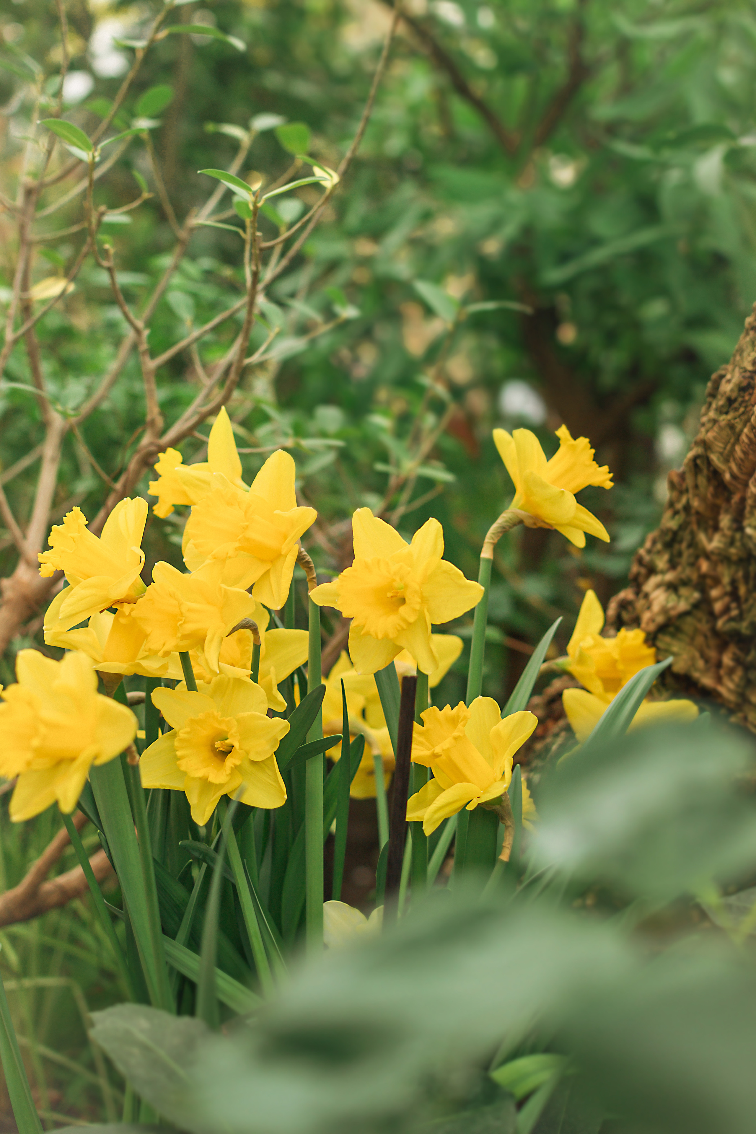 Атмосфера. Предметный и контентный фотограф в Москве и Зеленограде Анастасиевская