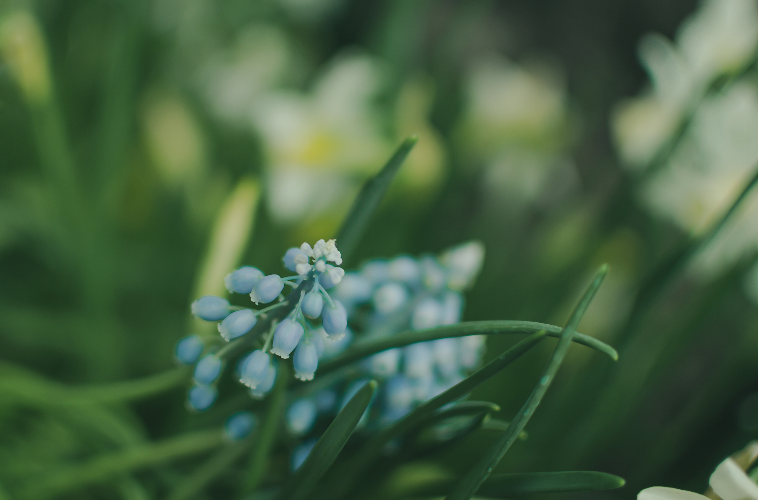 Атмосфера. Предметный и контентный фотограф в Москве и Зеленограде Анастасиевская