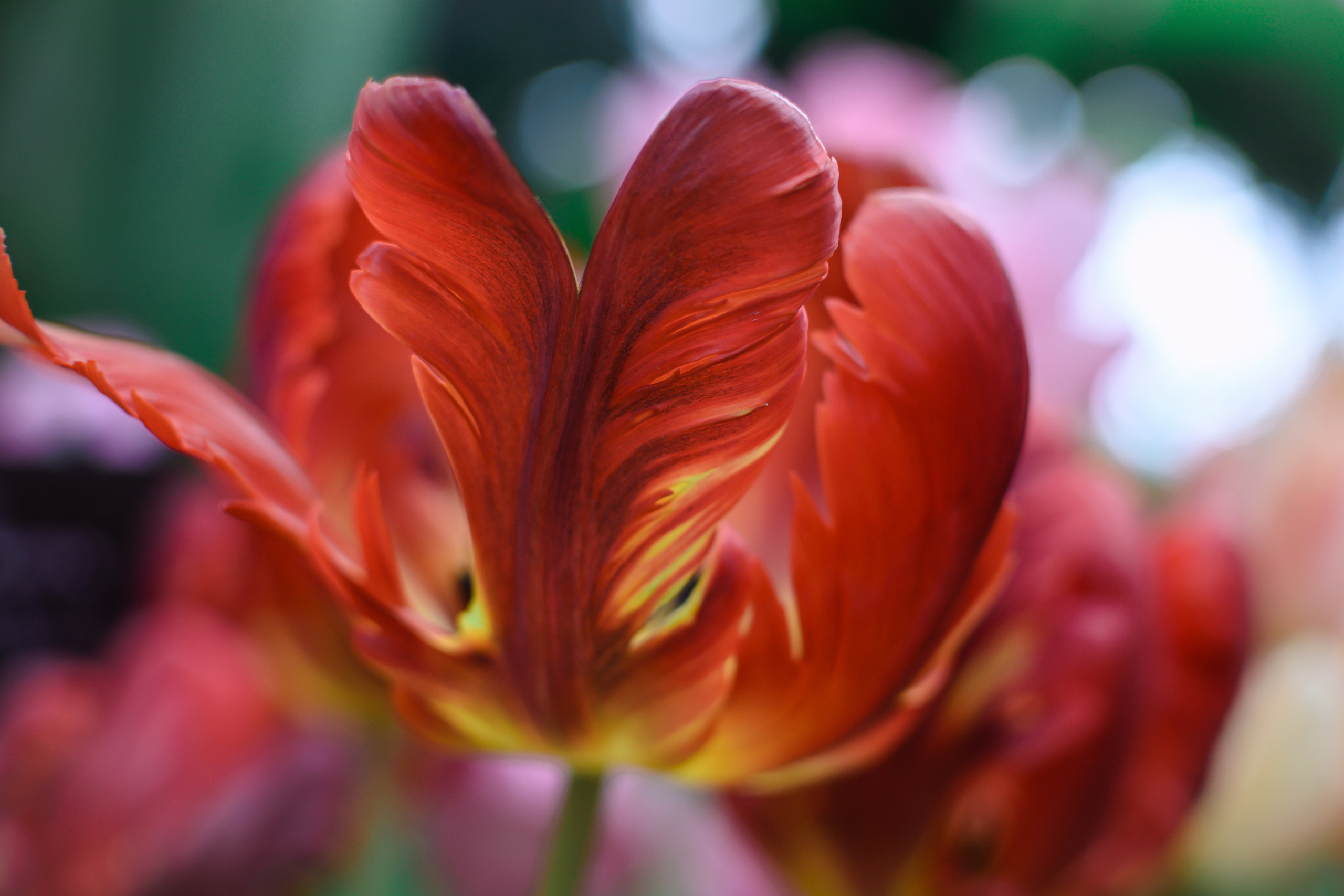 Атмосфера. Предметный и контентный фотограф в Москве и Зеленограде Анастасиевская