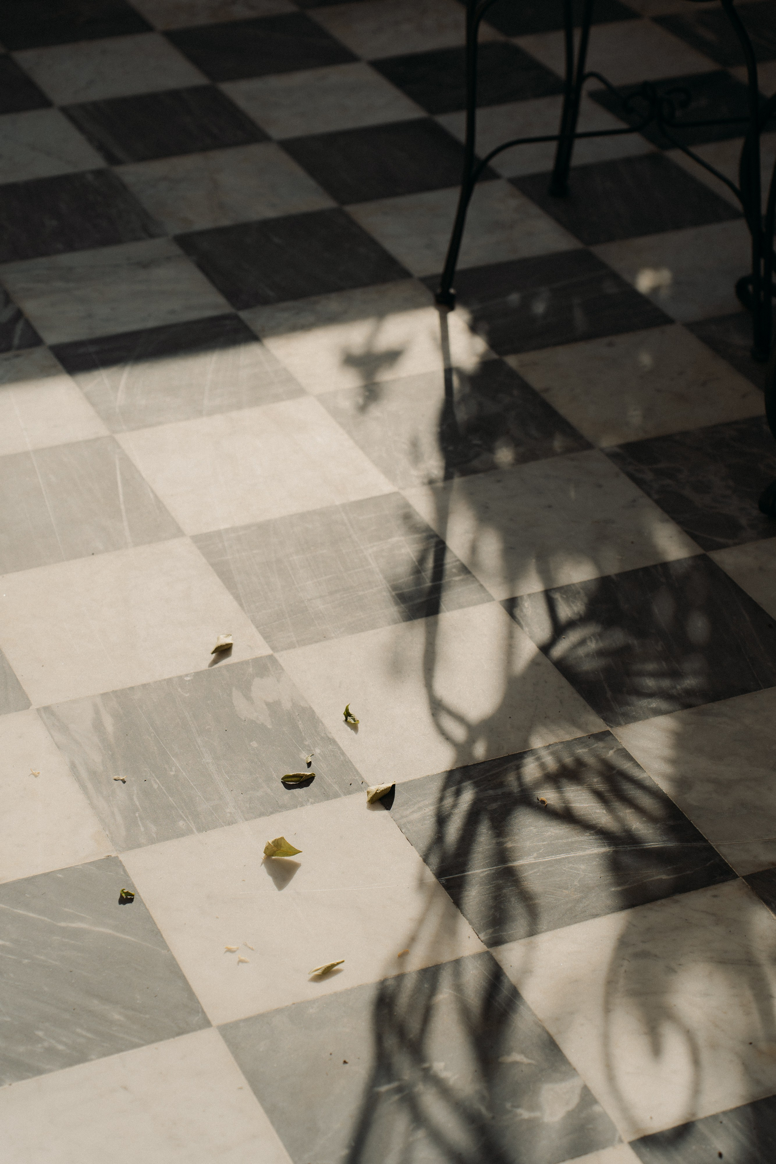 Palazzo Guiscardo | Pietrasanta