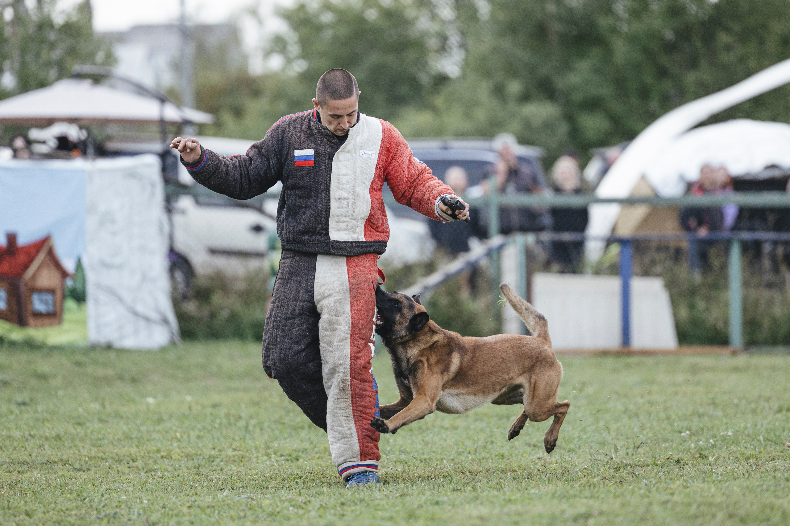 08.08.25-10.08.25 ЧР по мондьорингу г. Вологда. Фотограф-анималист Анна Маринич