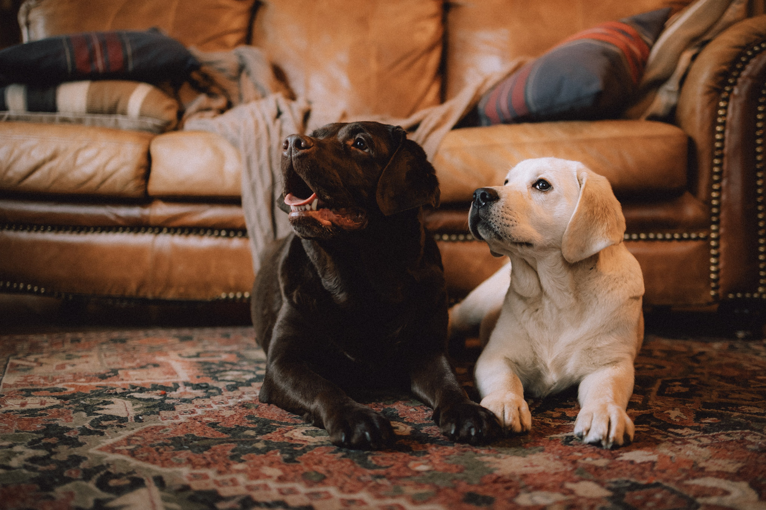 Ума, Берта и их семья