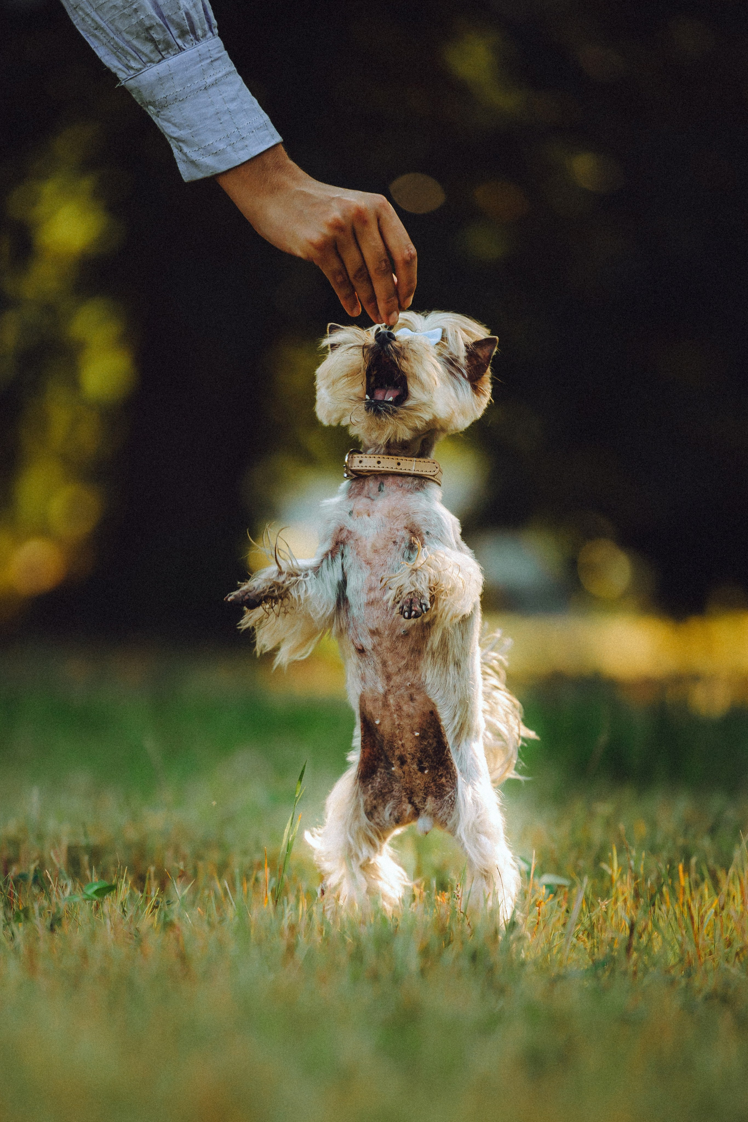 Дженни, Оливия и их семья