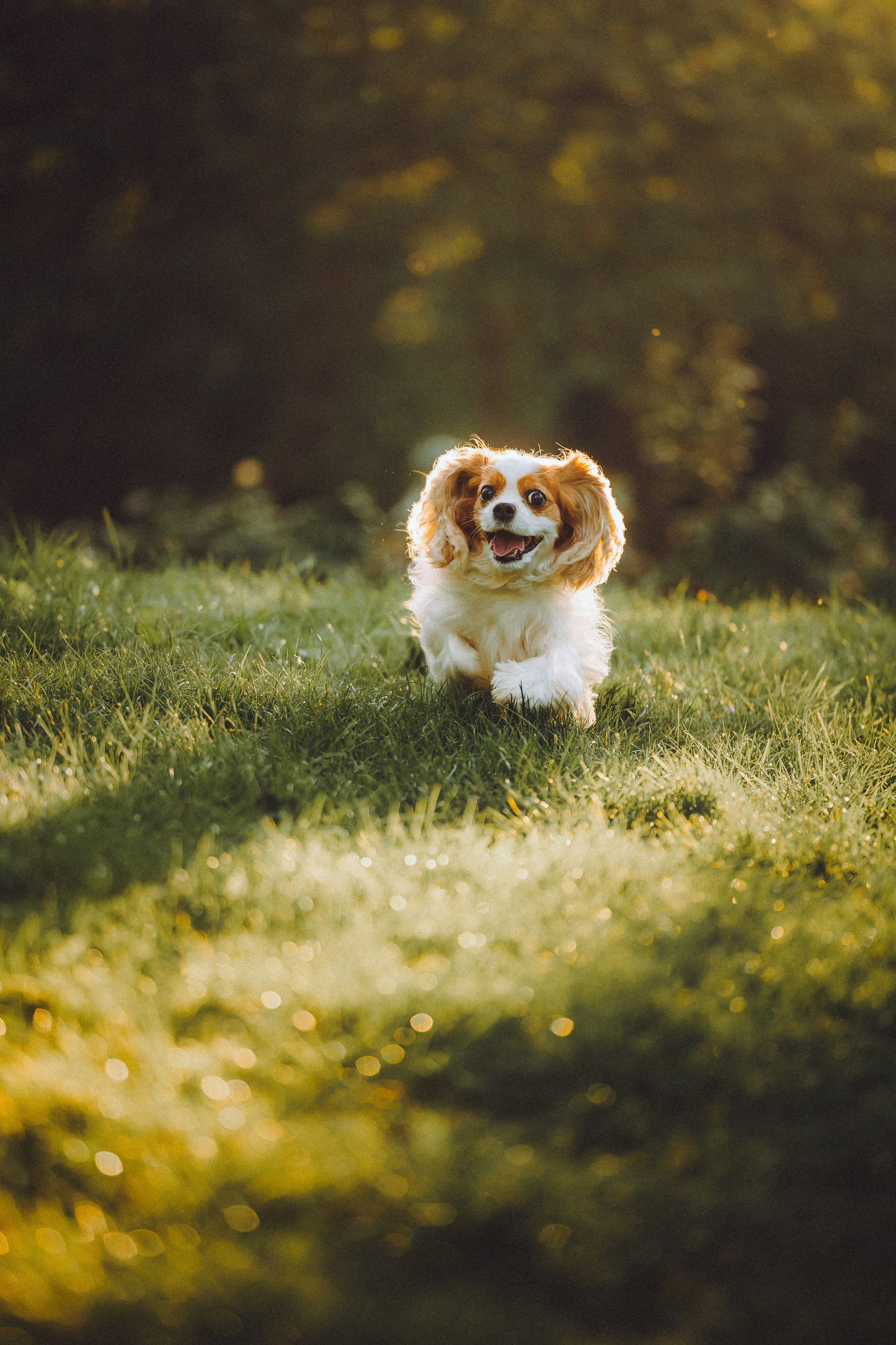 Наташа и Вики