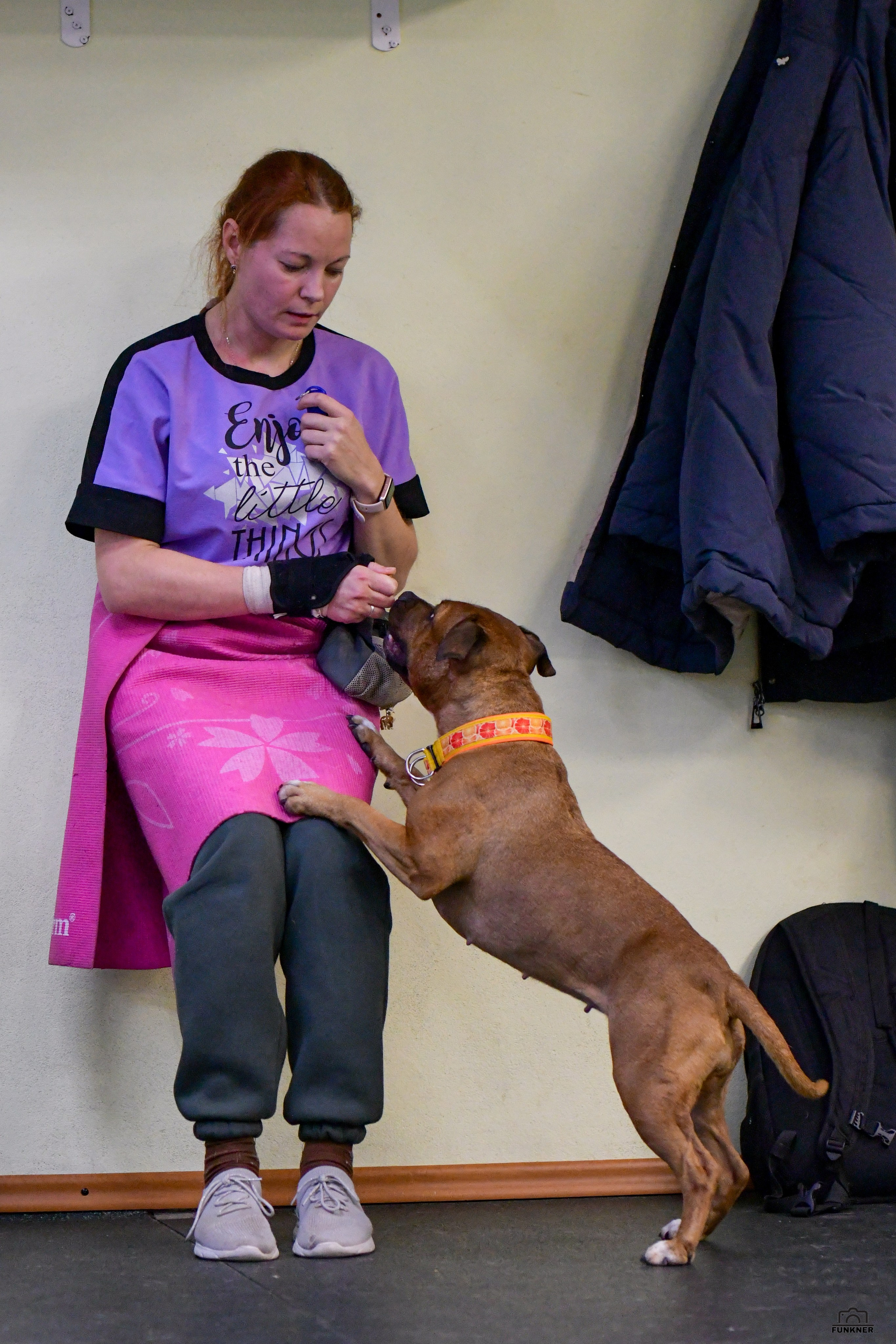 Кинологический клуб «Бодрый хвост». Свой взгляд через объектив