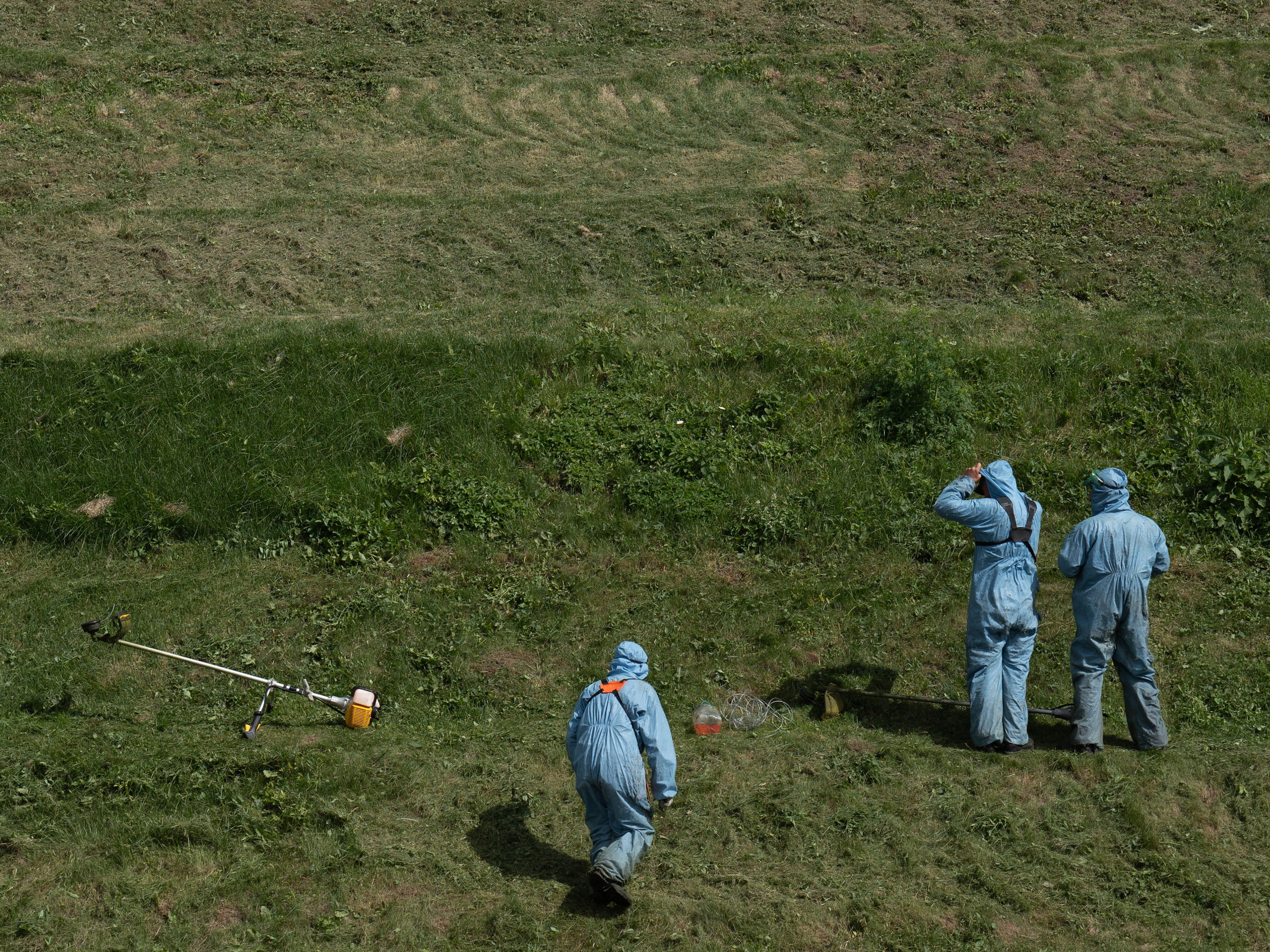 Street. Если ты на Земле — звони