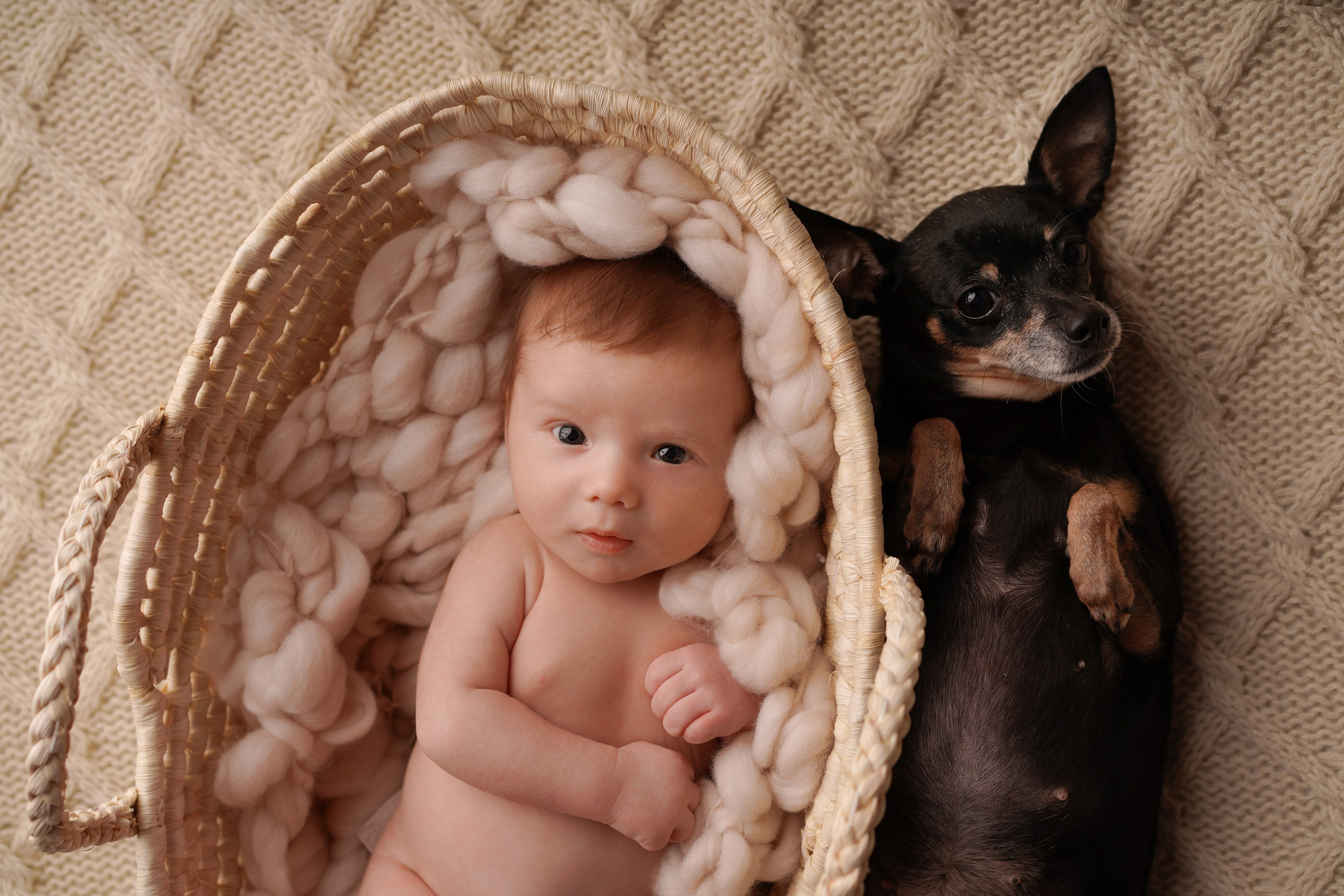 Фотосессия новорожденного с собакой. Фотограф новорожденных беременных в Тюмени Ткачук Татьяна