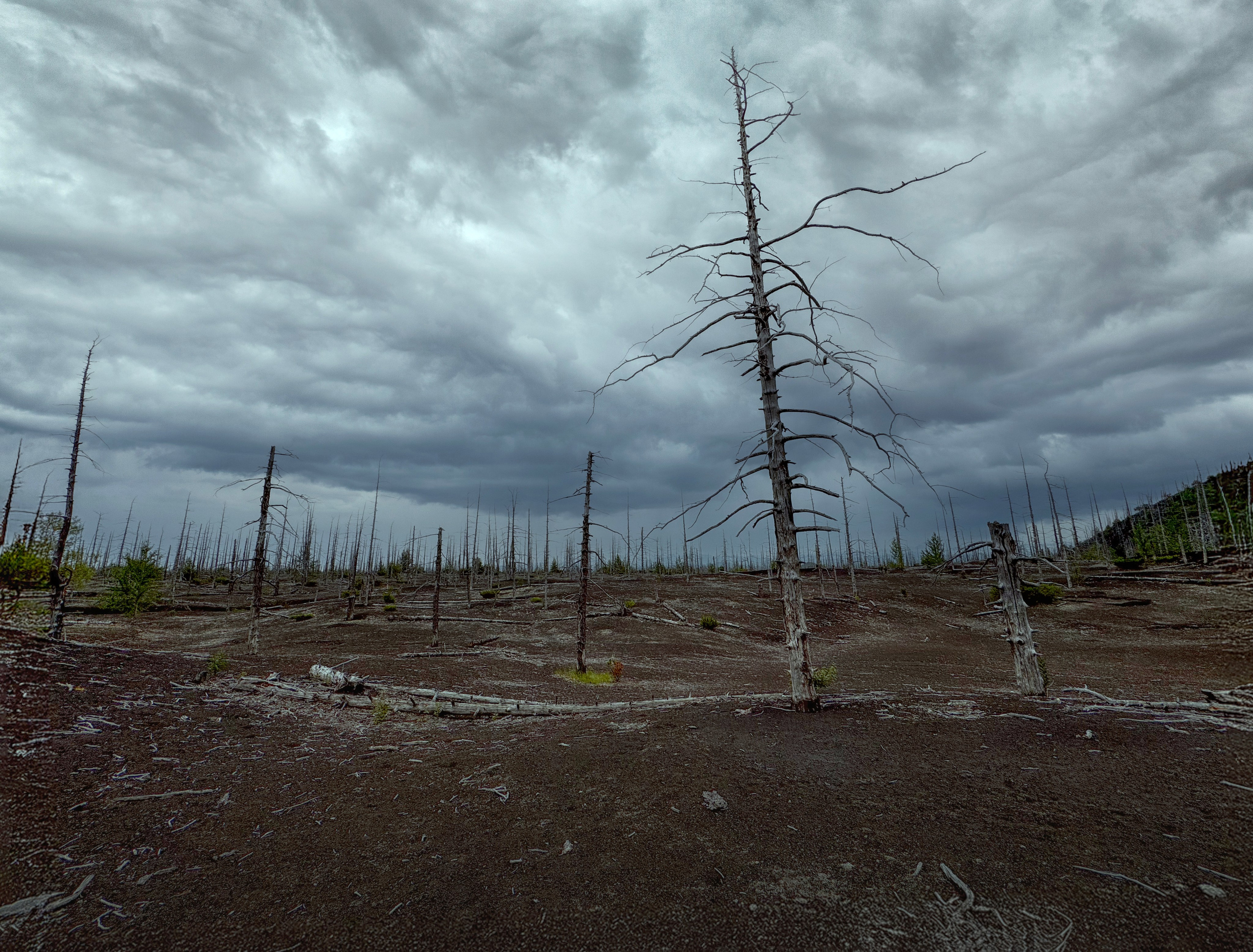 Пейзаж. Фотограф Наталья Туева FineArt съёмка