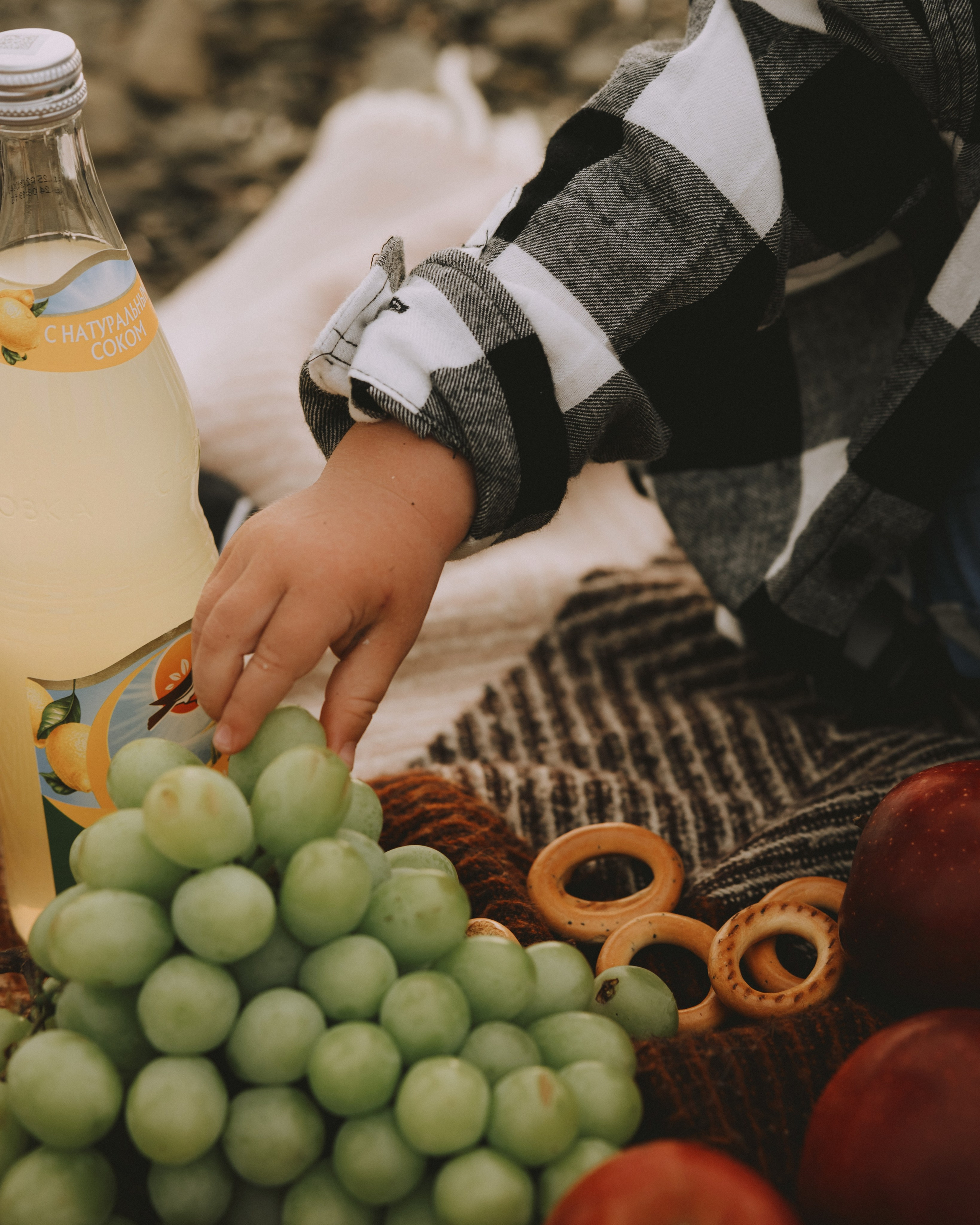 Юля family. Портретный и семейный фотограф Владивосток Андрей Липатов