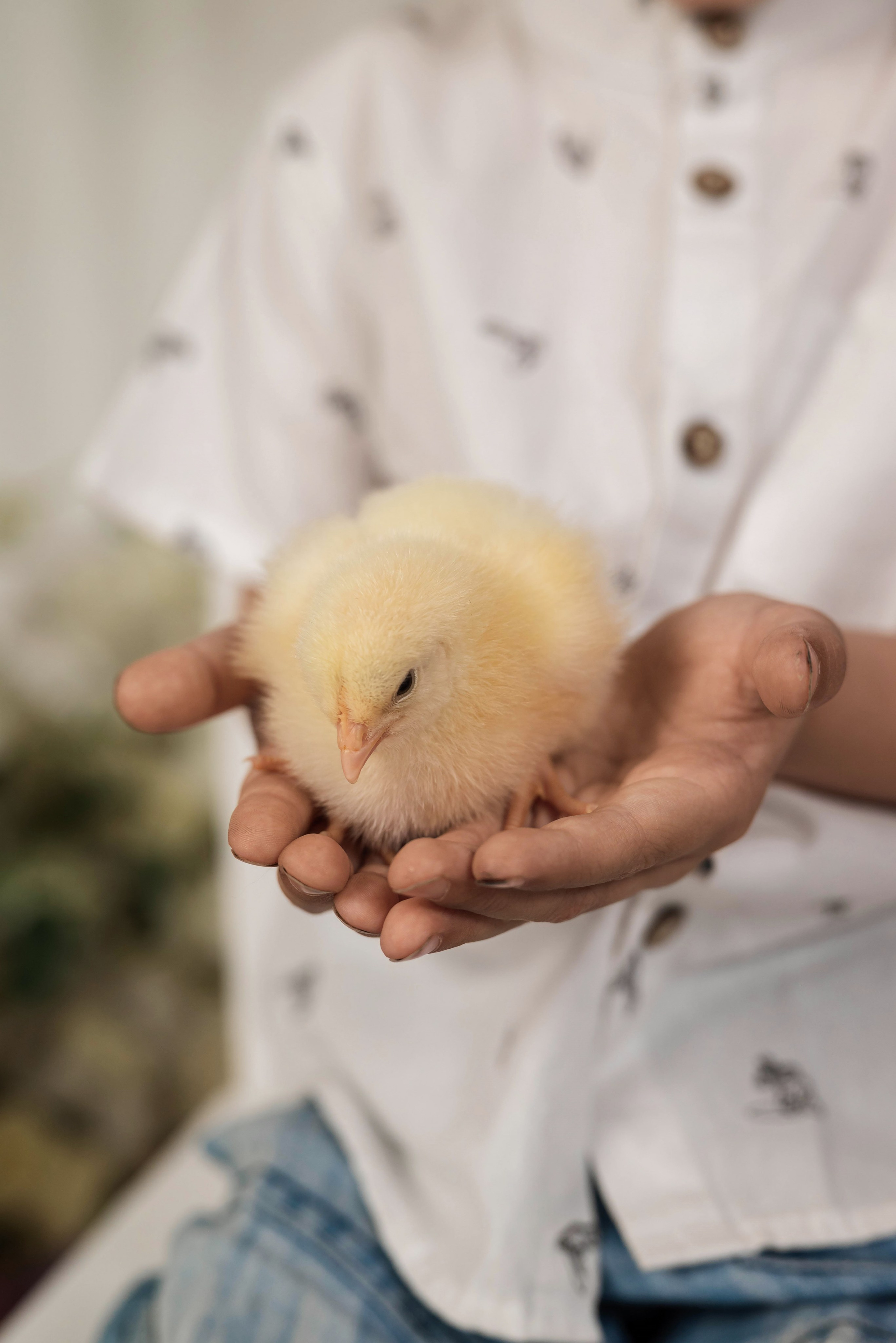 Фотопроект Пасха 2026 г. Фотограф в городе Салават